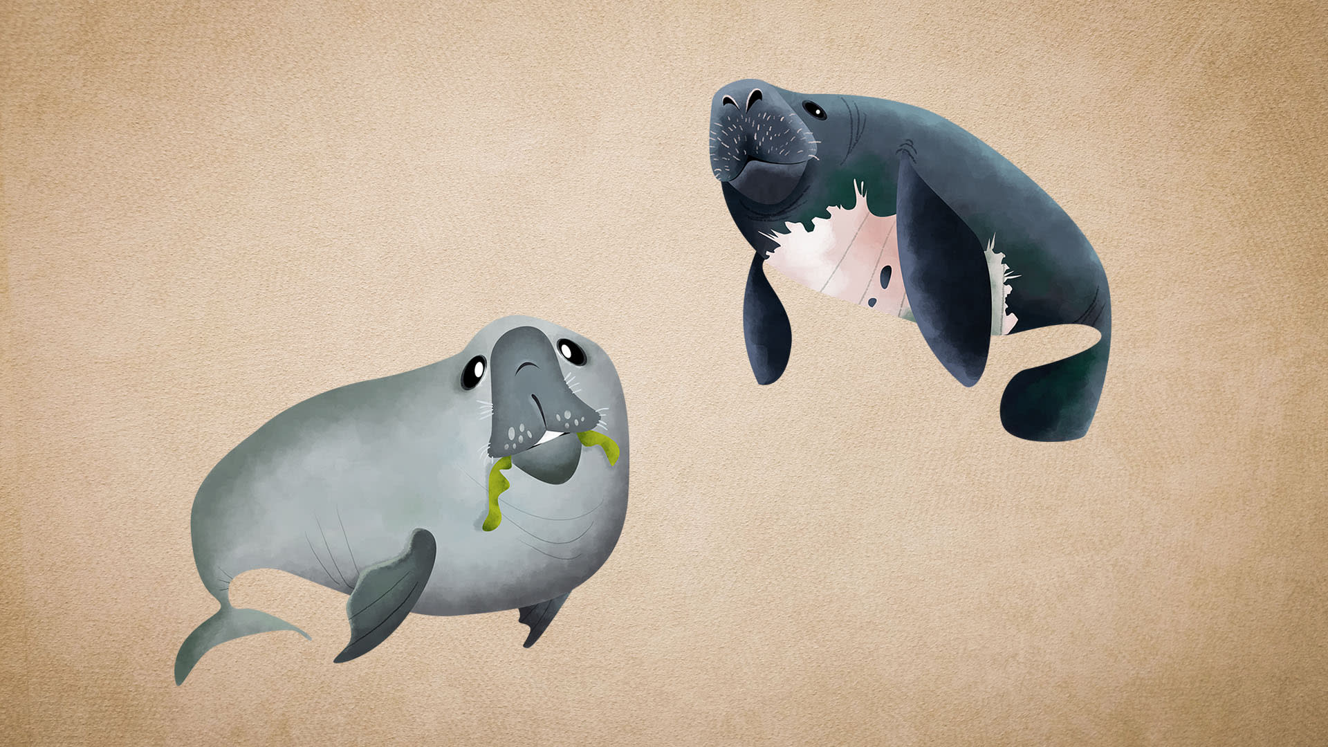 Dugongs vs Manatees: What's the Difference?