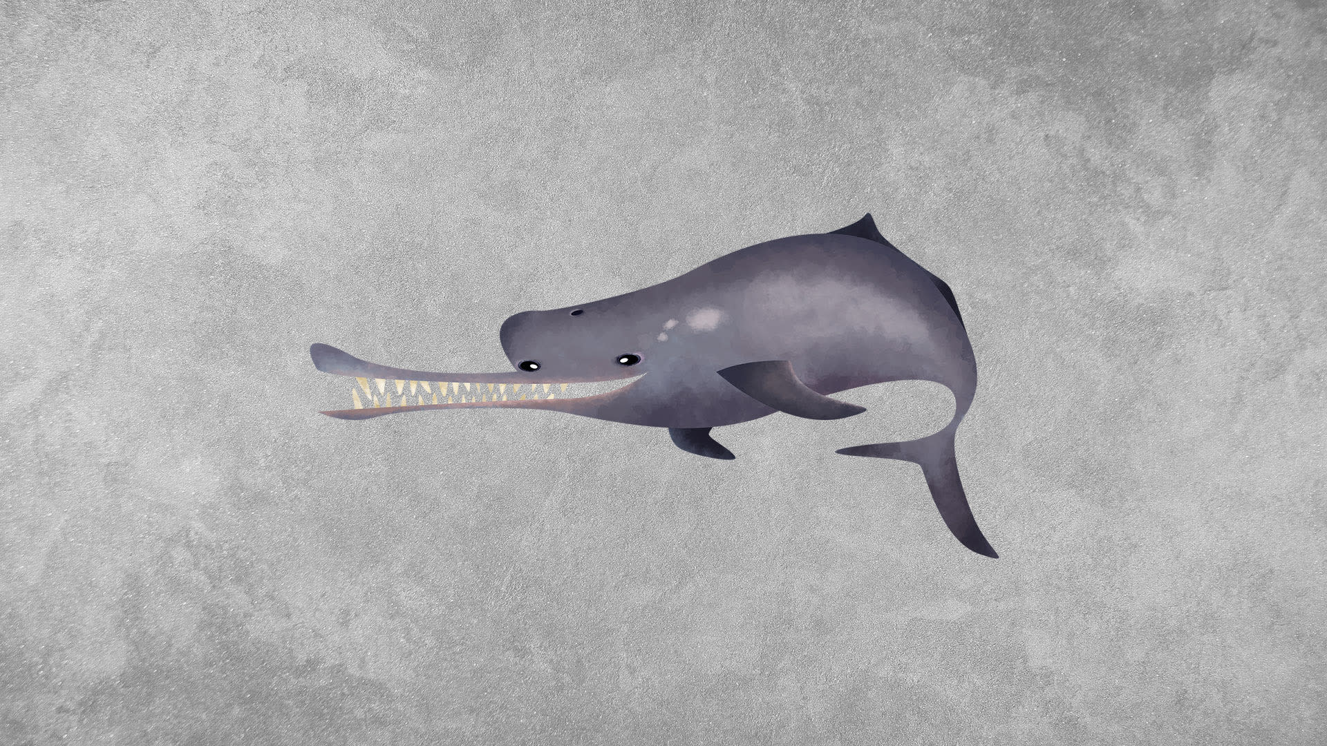 Indus River Dolphin: Facts, Habitat, Threats