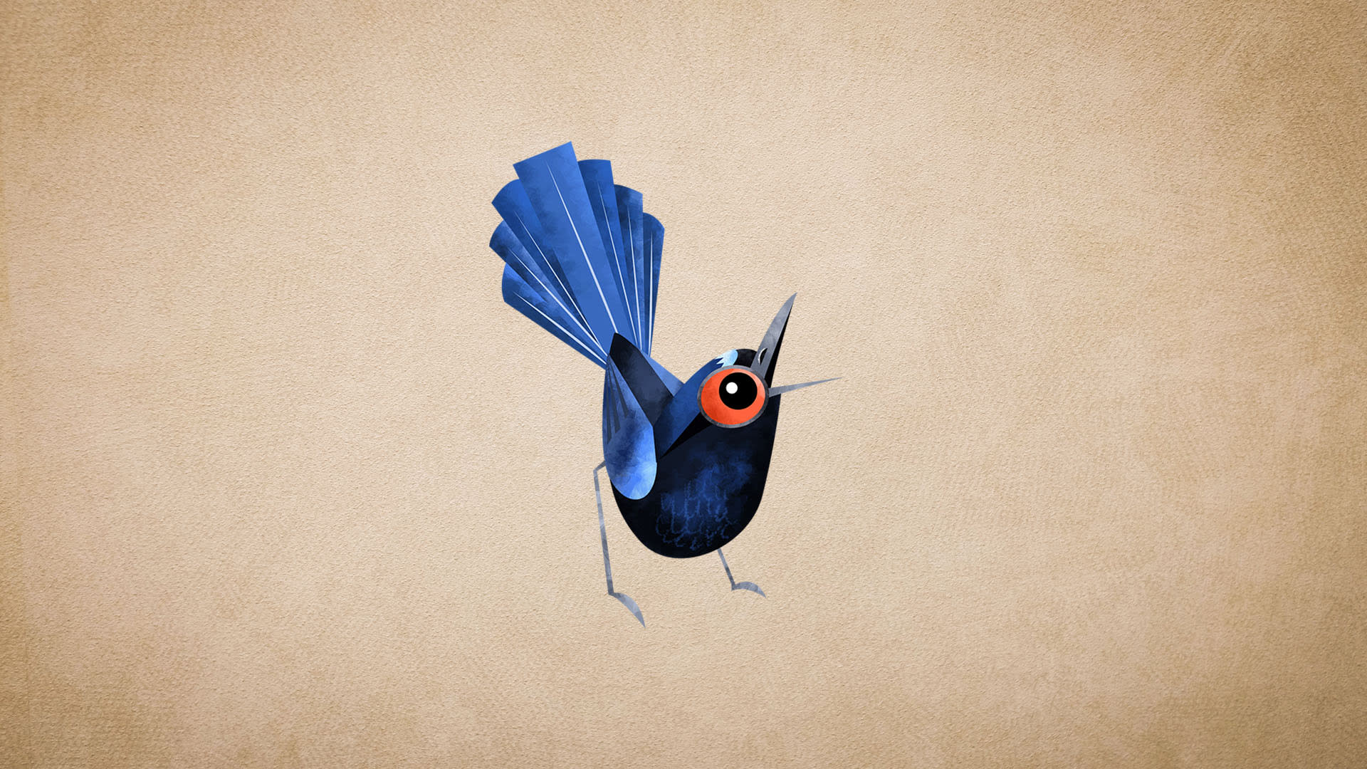 Malabar Whistling Thrush: Facts, Calls, and Diet