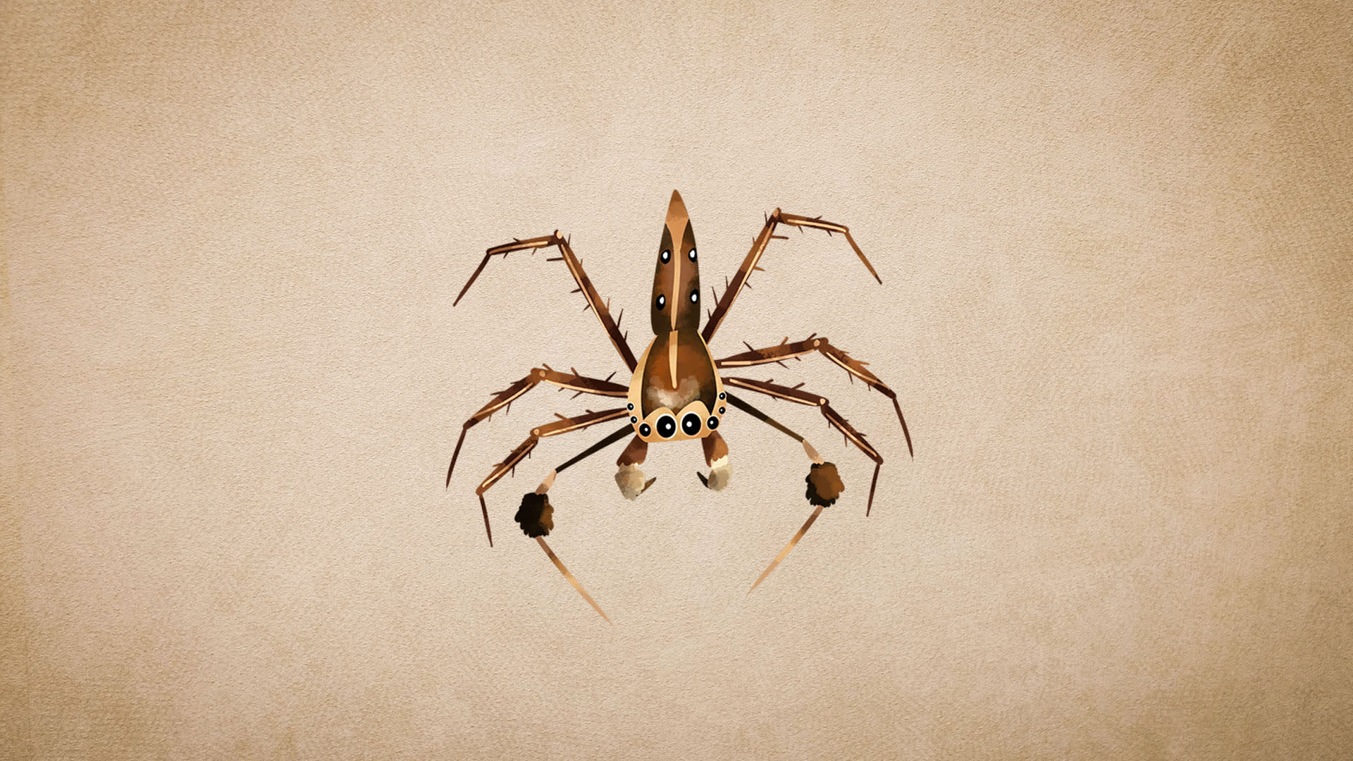 Portia Spiders: Facts, Hunting Strategy and Intelligence
