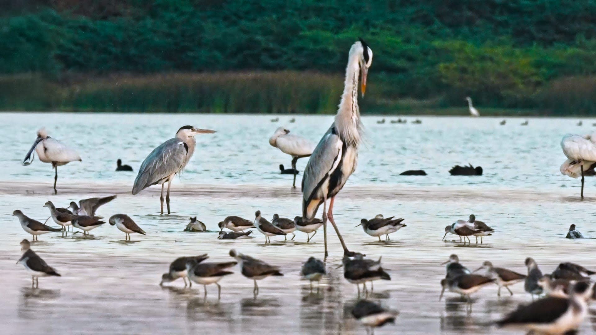 Jamnagar: Jewel of the West