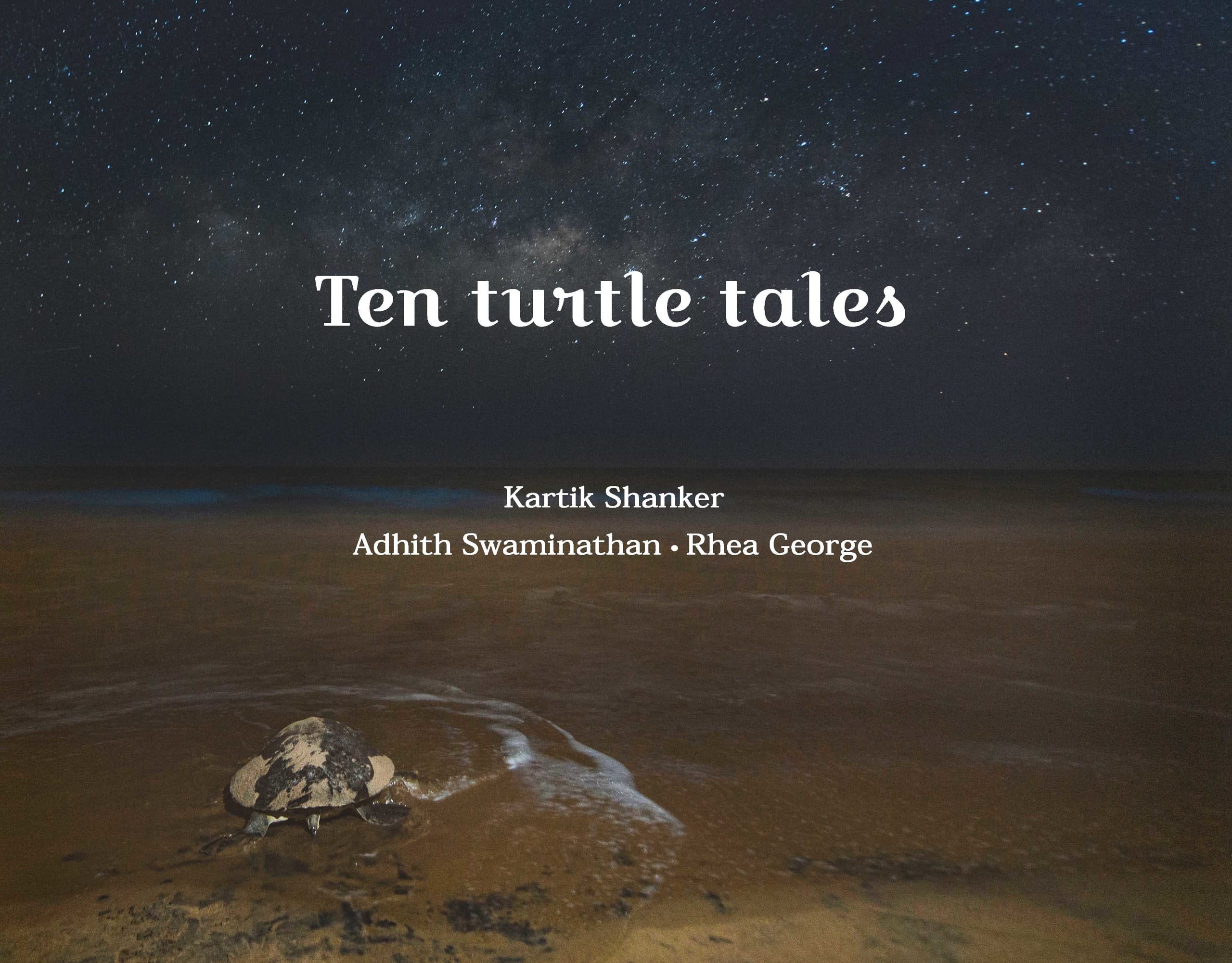 Of Turtles, Tides and Love Notes in Bottles