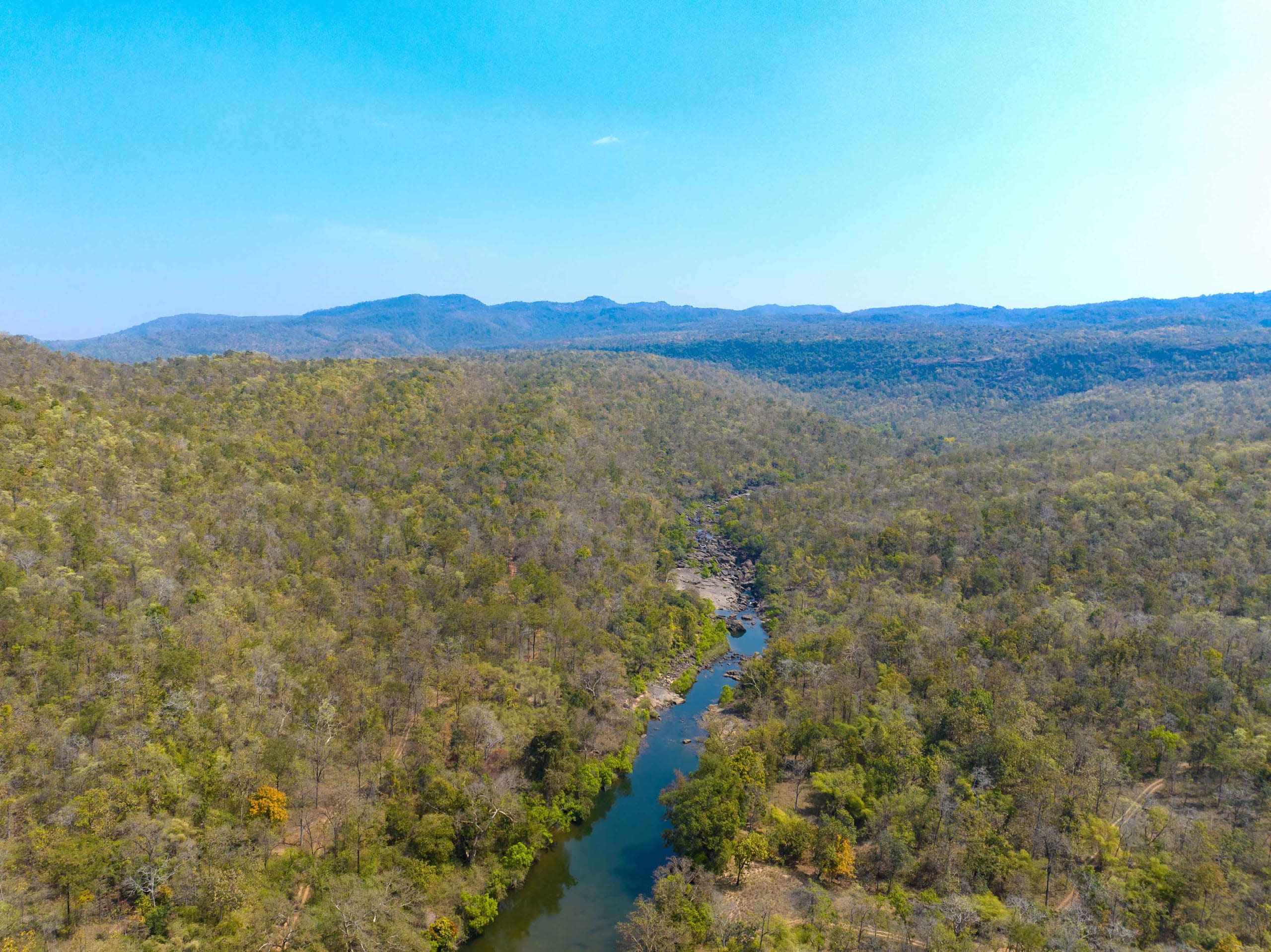 Bedrock: Meanderings through the Satpura Tiger Reserve