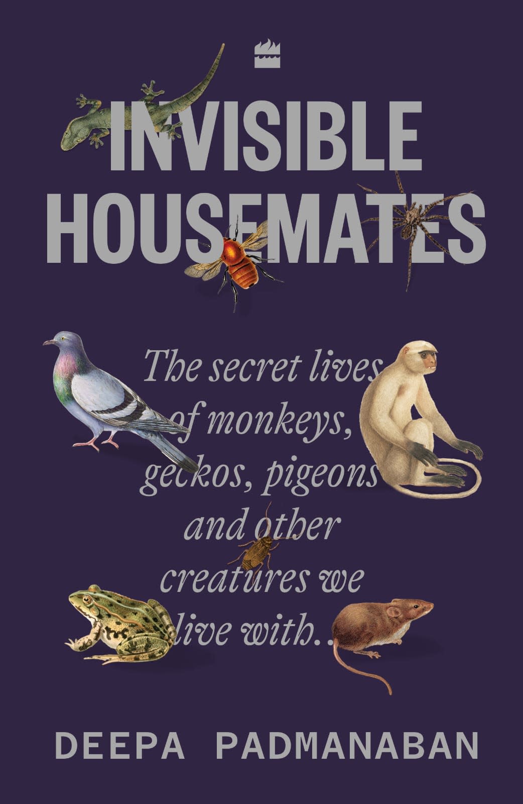 Invisible housemates