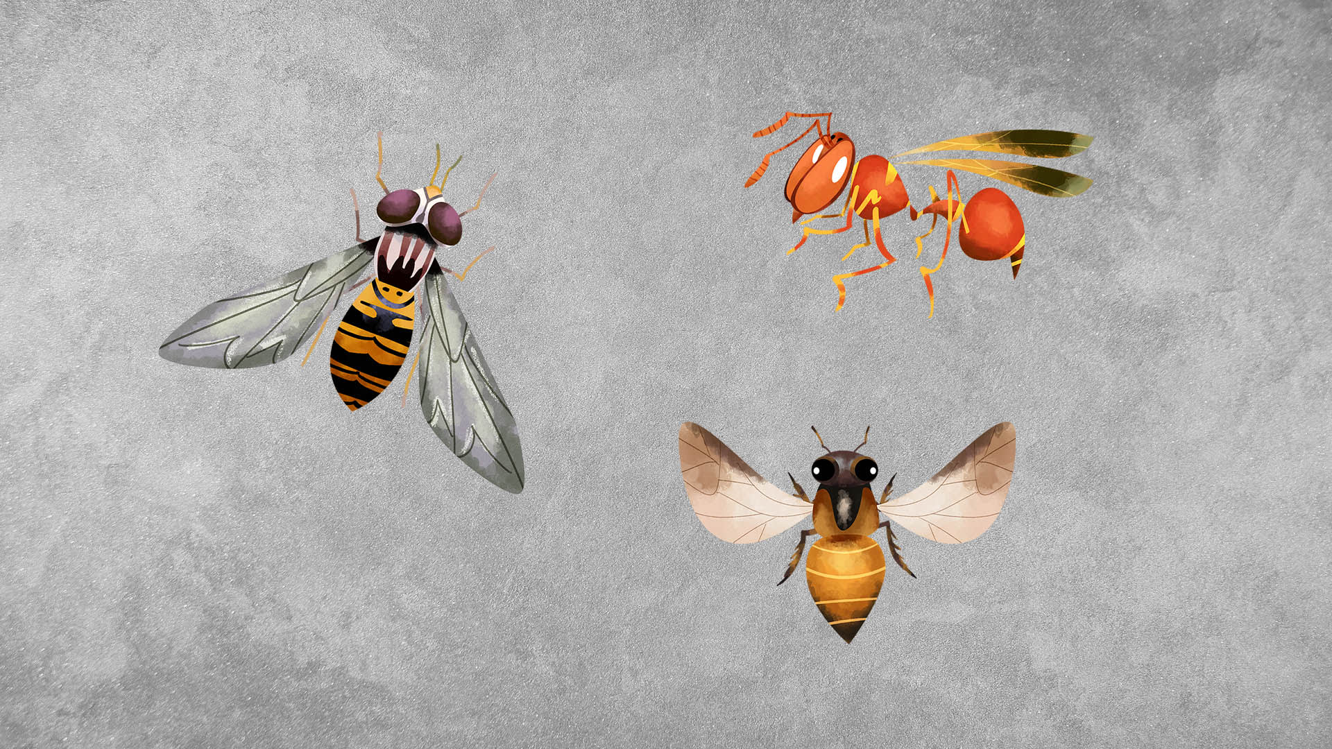 Hoverflies, Bees and Wasps: What's the Difference?