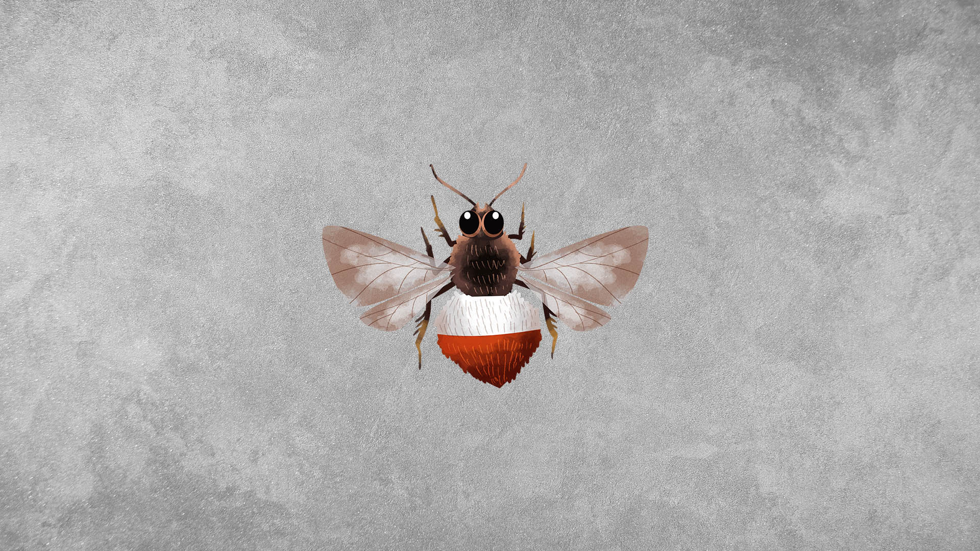 Bumblebees: Facts, Ecological Role and Threats