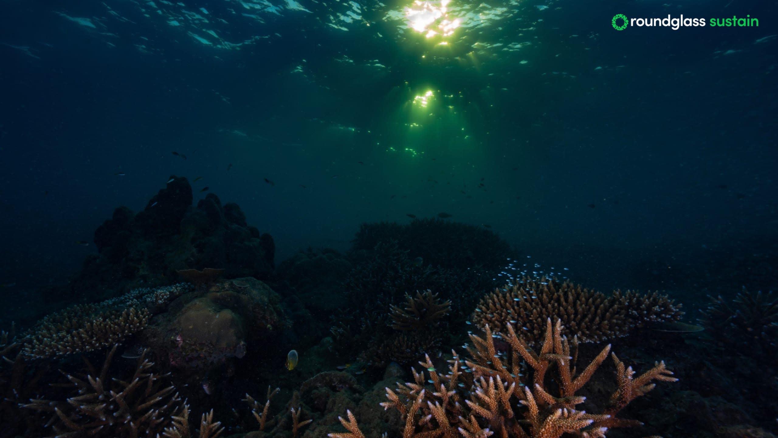 Waters on the Edge: Inside the Indian Ocean's Warming Crisis
