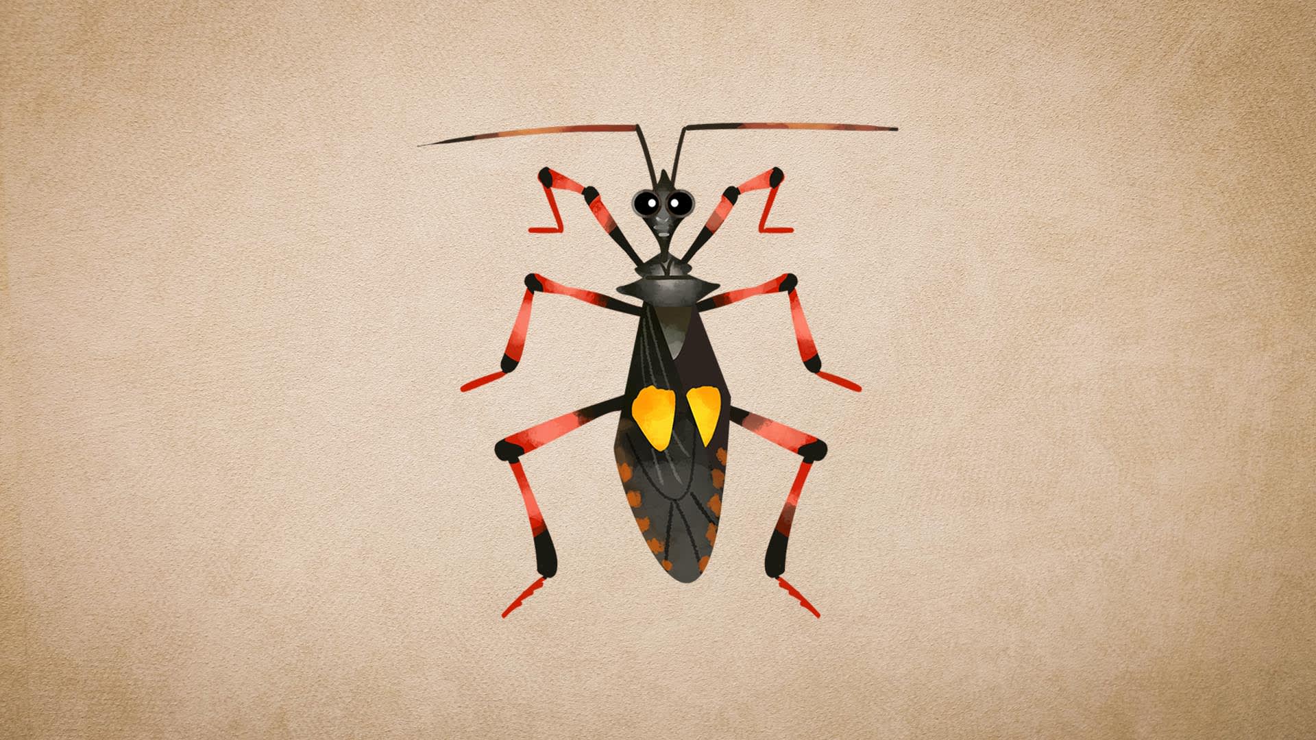 Assassin Bugs: Facts, Hunting, Lifecycle