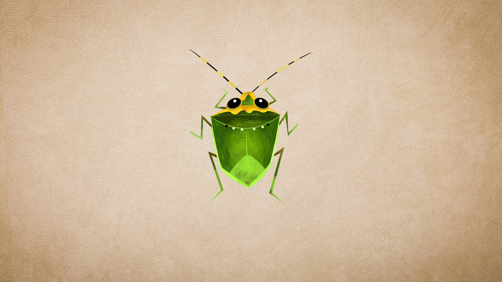 Stink Bugs: Facts, Lifecycle, Defence