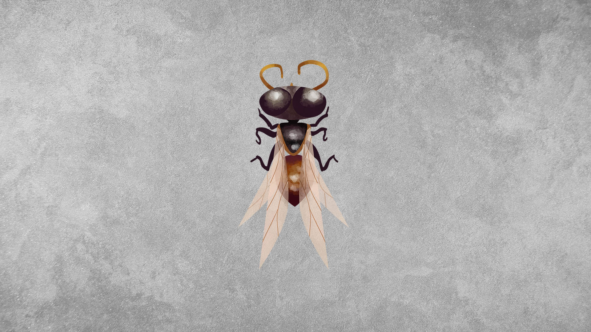 Stingless Bees: Facts, Colony and Pollination