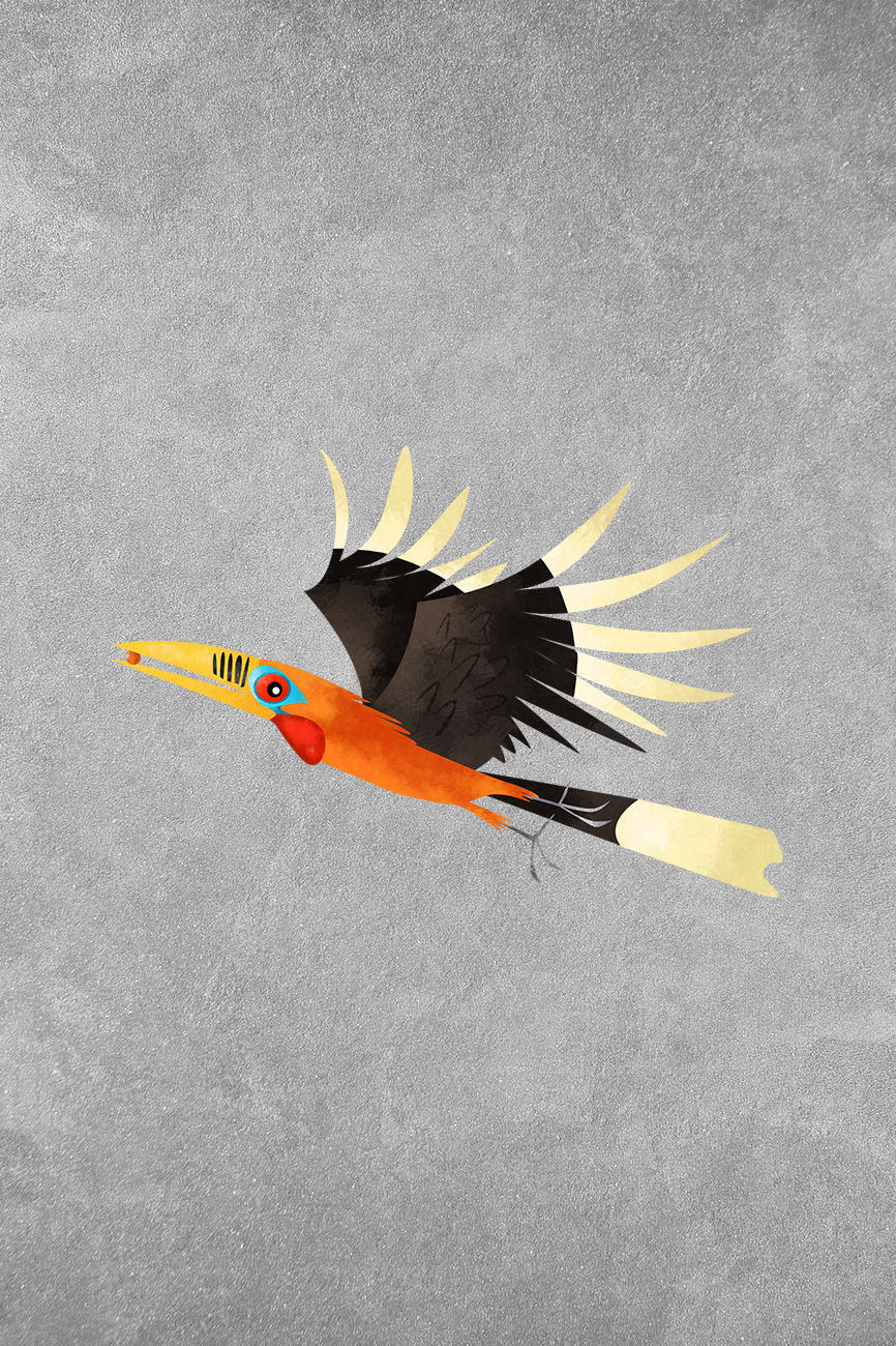 Rufous-necked Hornbill: Facts, Habitat, Breeding