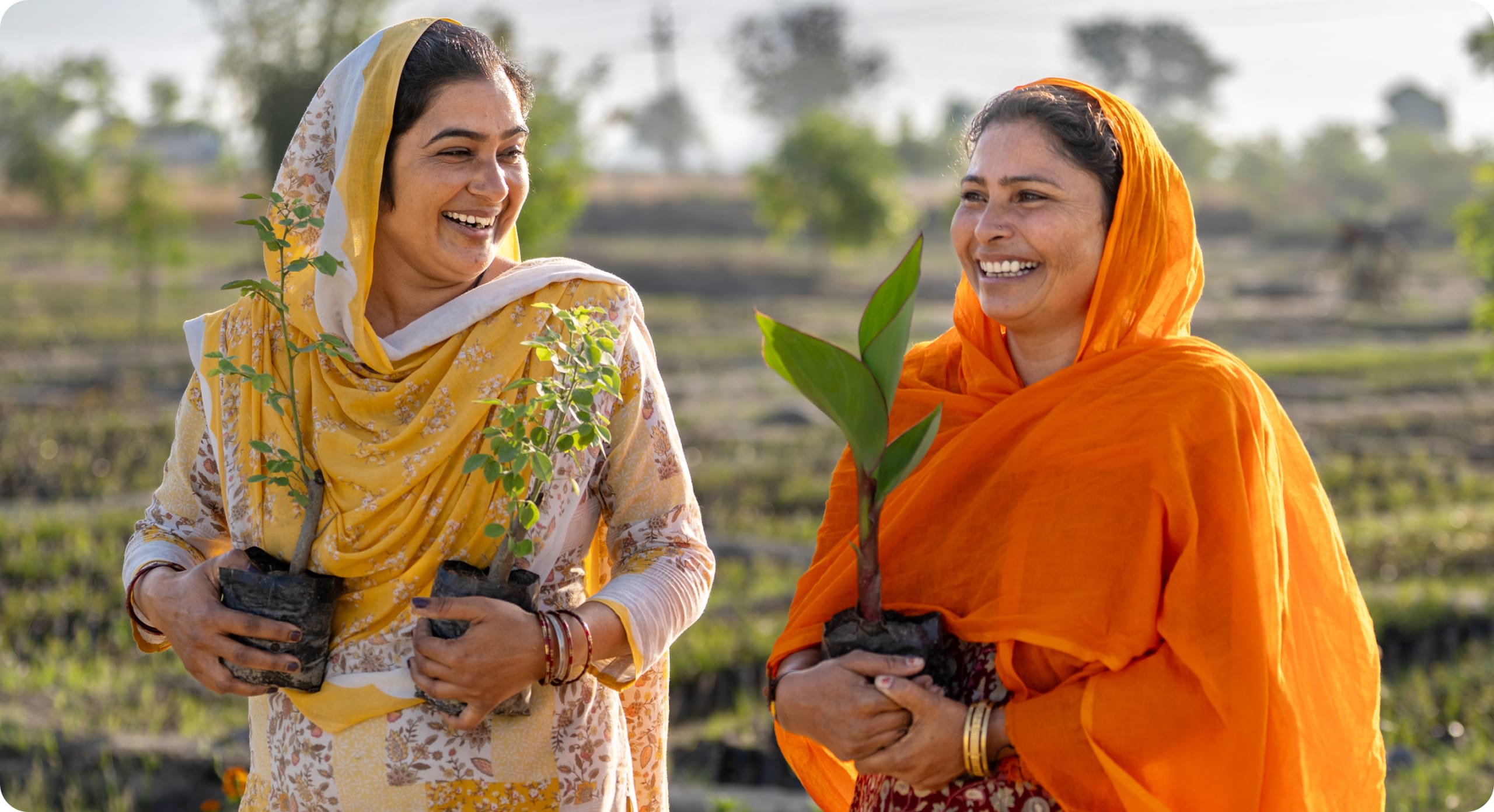 Women’s Equity