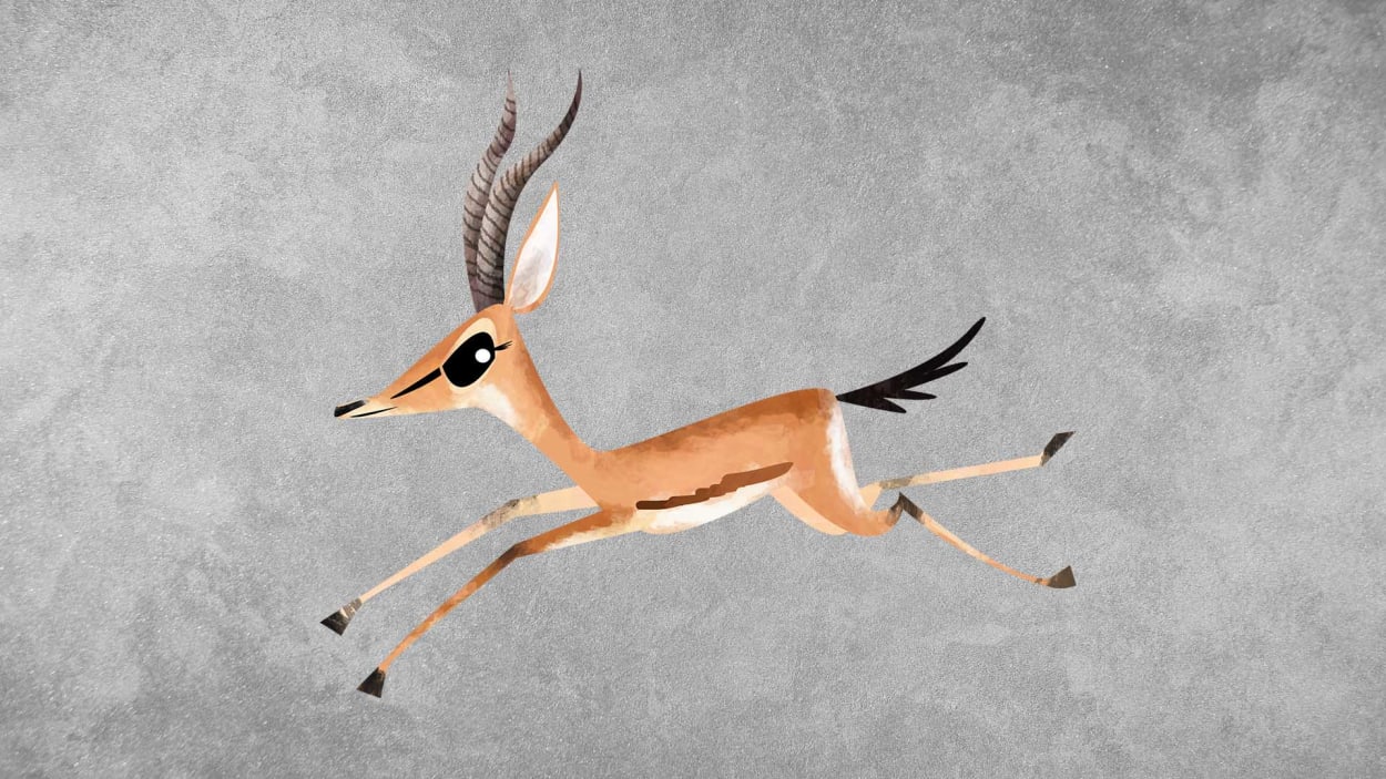 All about Indian gazelle | RoundGlass | Sustain All about Indian gazelle | RoundGlass | Sustain