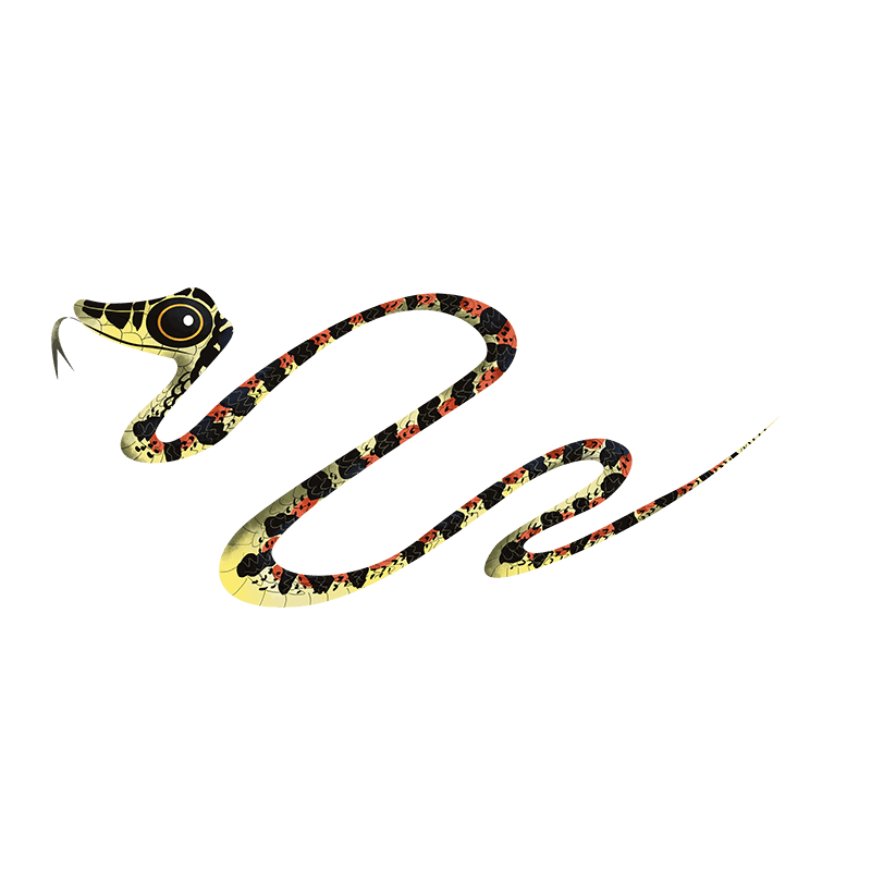 All about Malabar pit viper, RoundGlass