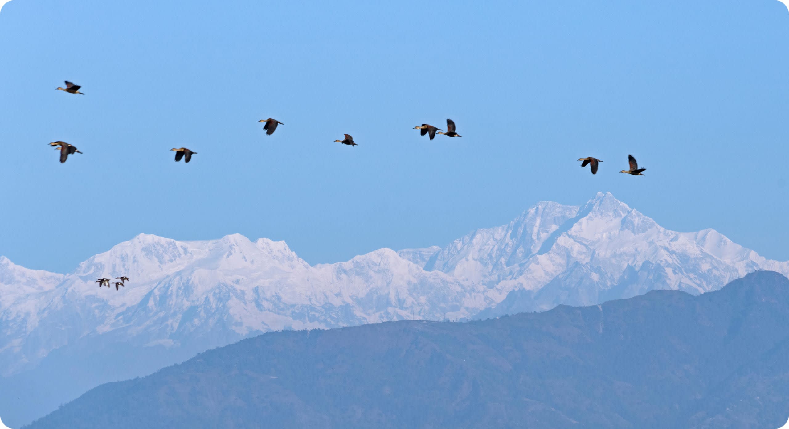 Roundglass is a wholistic wellbeing company working to empower healthier lives, thriving communities, and a more sustainable world.