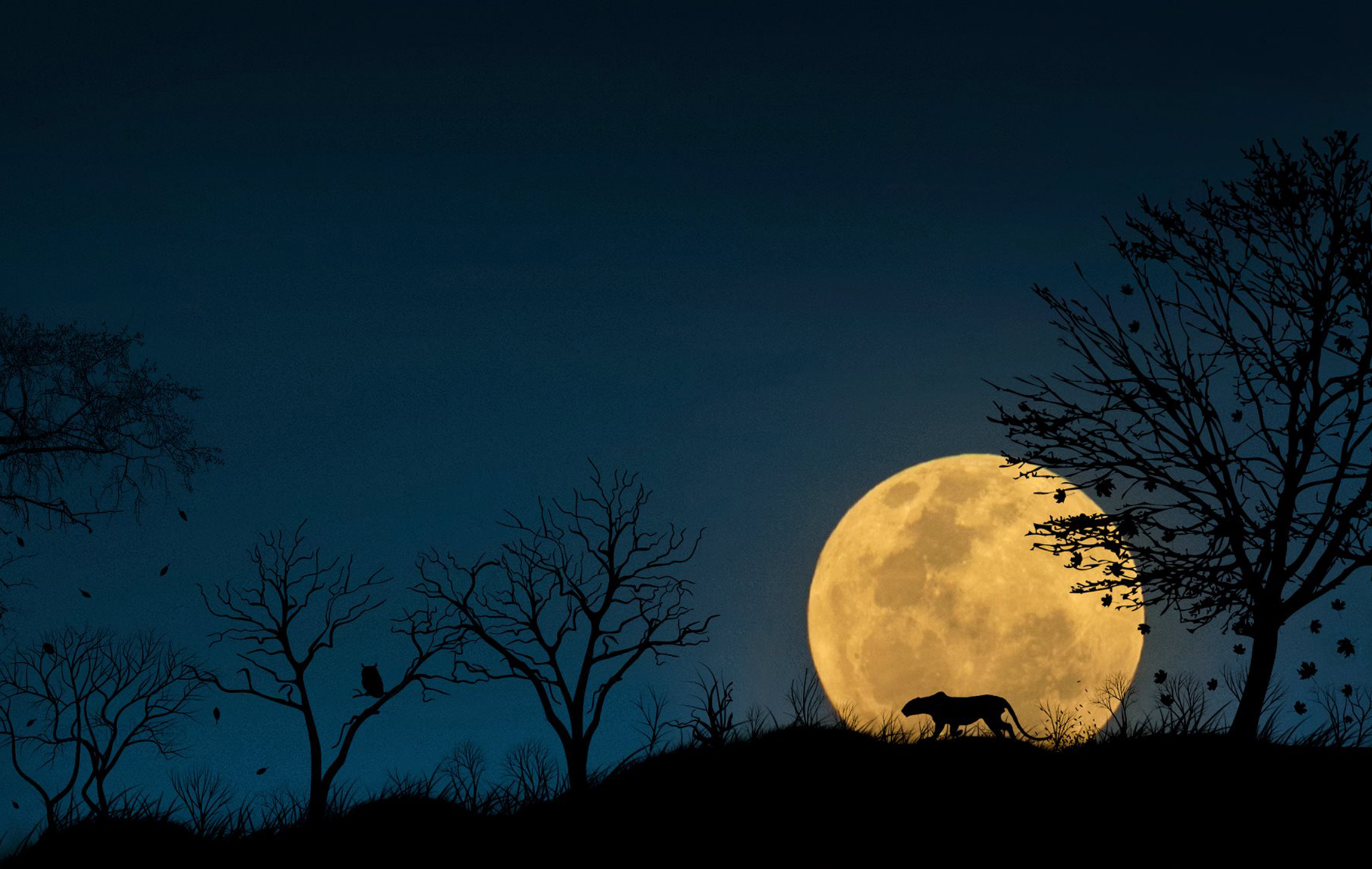 This photo was edited to showcase the magnanimous beauty of nature: the falling leaves, the bare trees, the owl perched on a low branch, and the leopard silhouetted against the rising moon.
