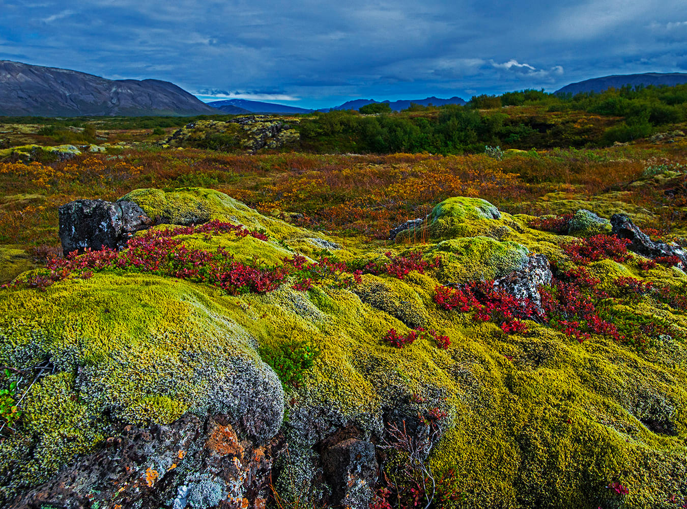 Thingvellir National park is a UNESCO World Heritage site where the Mid-Atlantic Rift is visible. It is a historically and culturally significant place for Icelanders, and an area of great natural beauty. At Silfra, a deep chasm divides the continental plates of Europe and North America. This fissure was formed during an earthquake in 1789 and the two plates continue to drift apart approximately 2 cm each year. I went scuba diving here, where the water was crystal clear and visibility at least 50 metres. Only rocks and green hairy algae were visible as fish seem not to venture into its depths. 