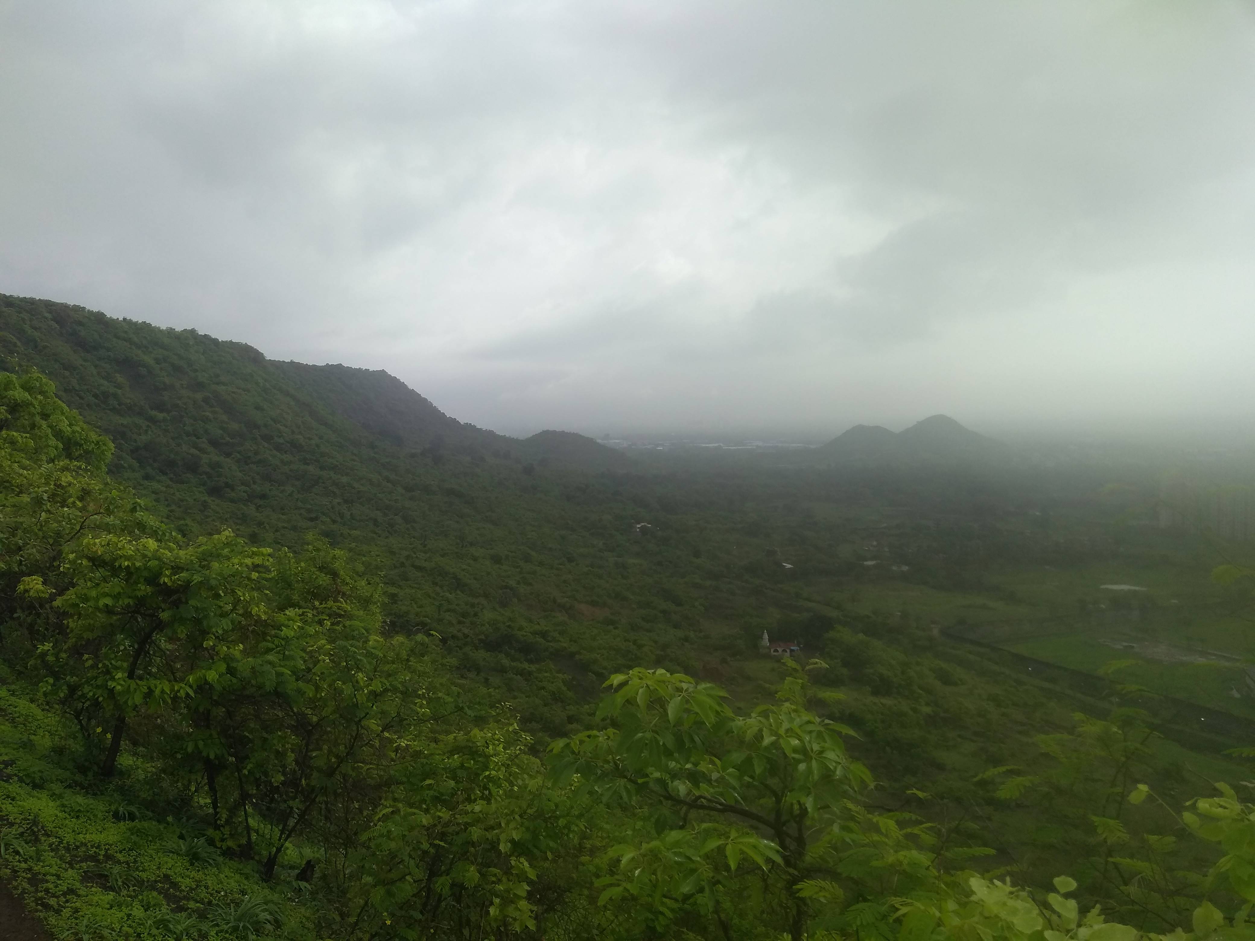 Kharghar’s Hills Are Alive with the Sound of Birdsong RoundGlass