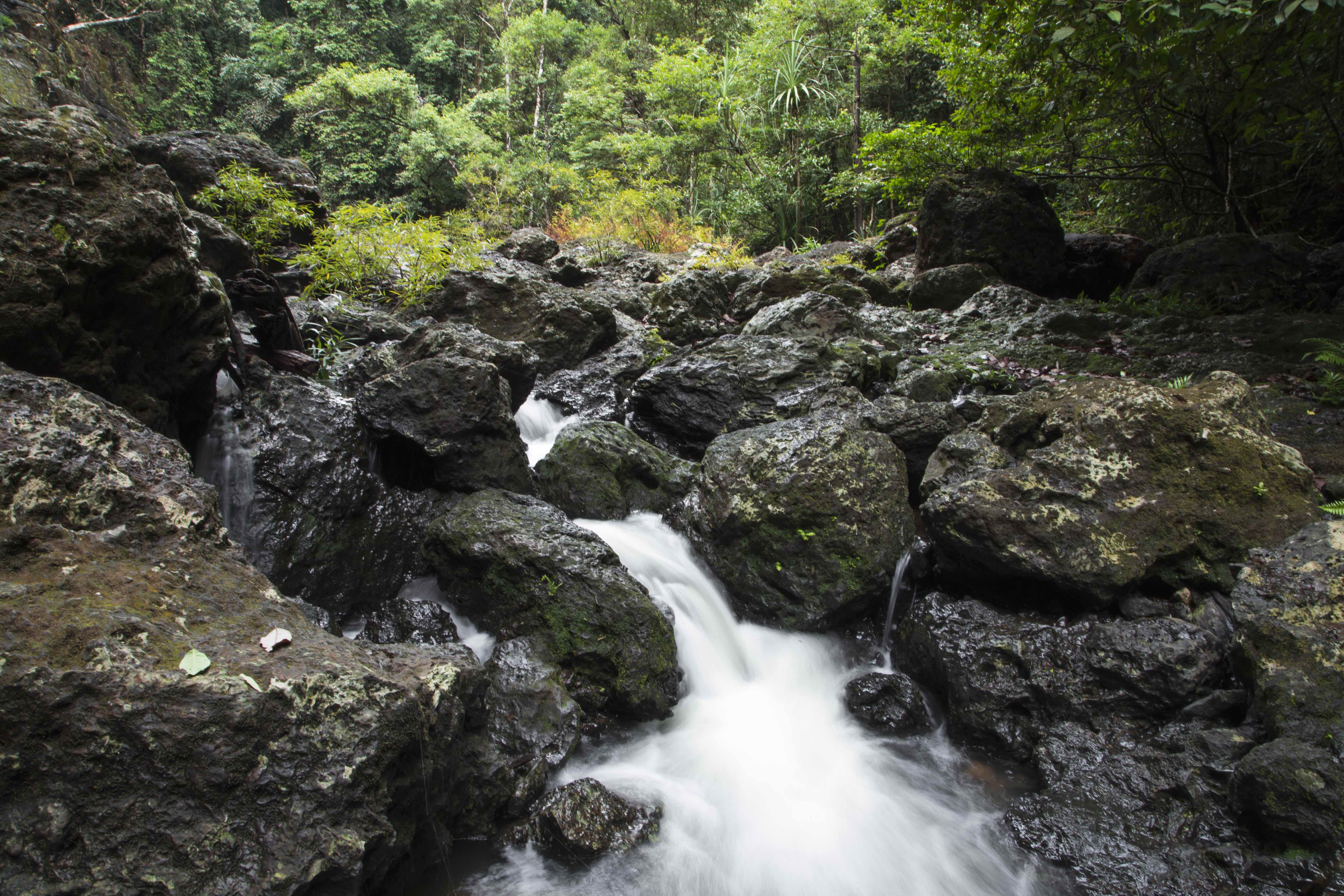 Agumbe is famous for its waterfalls. The Jogigundi waterfalls is one among several in the region which spring to life during the monsoon. Photo: Saurabh Sawant