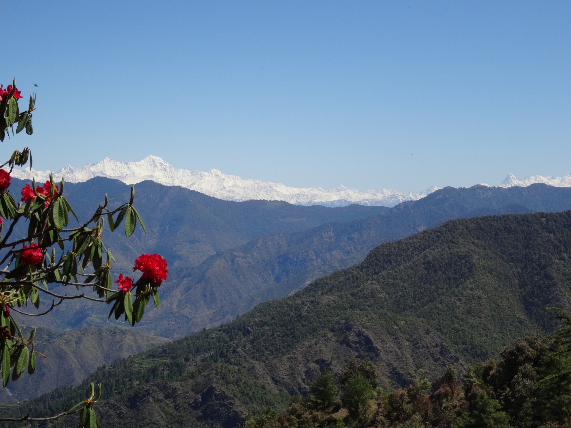 On a clear day, one can see the mountain ranges of the Himalayas from the highest point in the Reserve. 
Photo Courtesy: Jabarkhet Nature Reserve  
