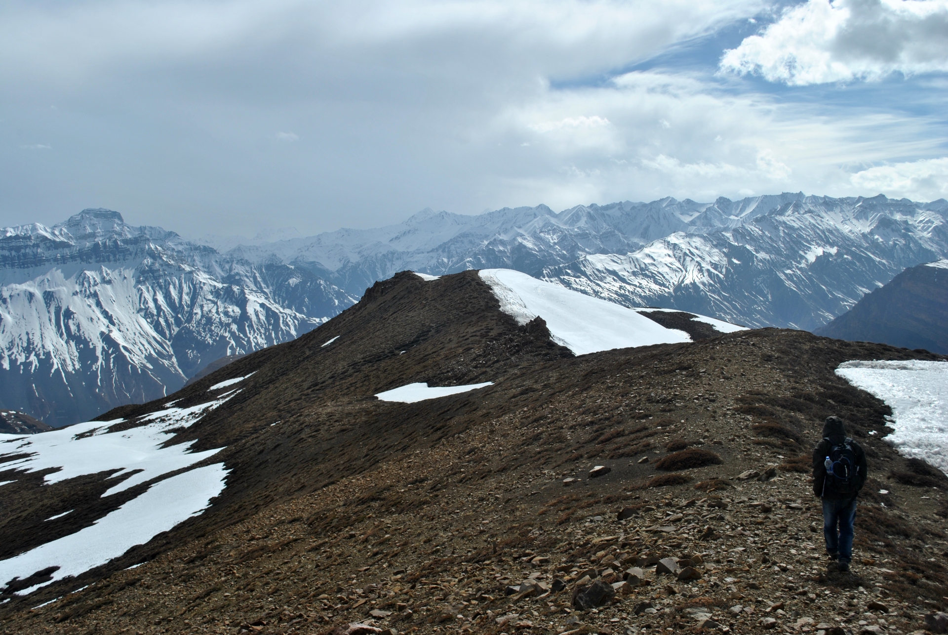 Seeking the Elusive Stone Marten in the Wilds of Spiti Valley