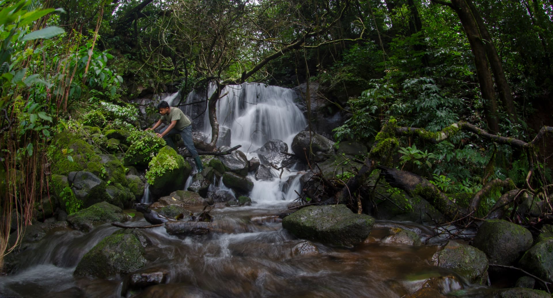 Amboli in the Western Ghats of Mahrashtra is one of Saurabh’s favourite spots for observing herpetofauna. Here he is looking for frogs and endemic freshwater crabs. “A number of frog species build foam nests over puddles of water that harden in the air,” he explains. “When the eggs hatch, the foam disintegrates, and the tadpoles fall into the water.” Photo: Saurabh Sawant 
