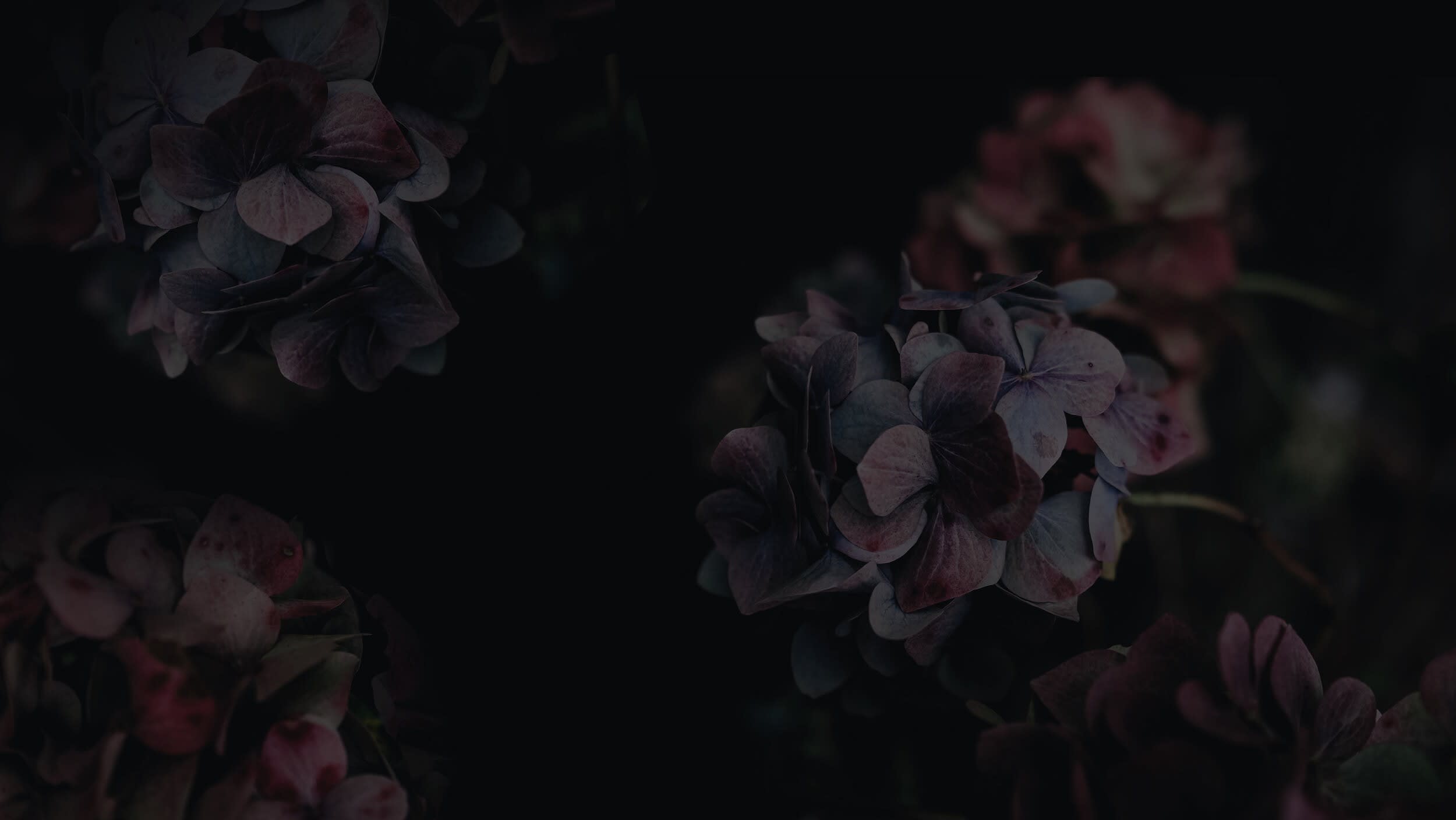 Love Death love death