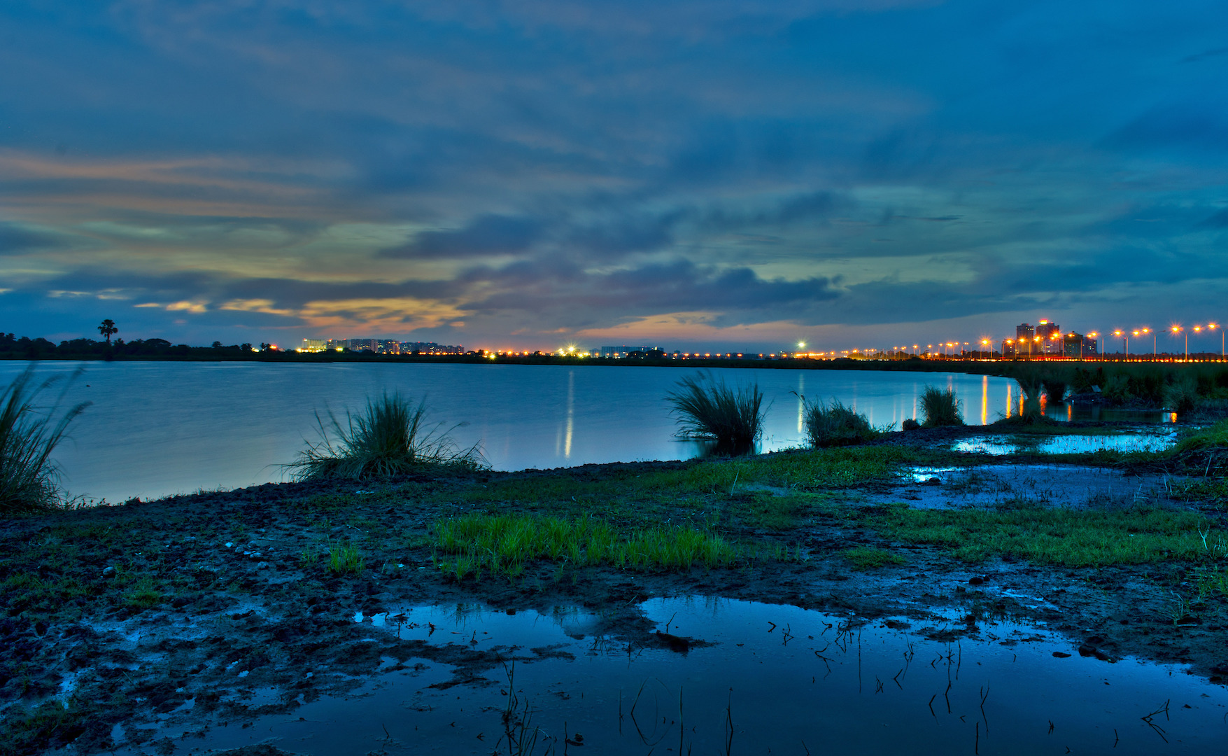 Despite New Town being a fast-growing urban locale of Kolkata’s Rajarhat area,
it is rich in biodiversity. Around 200 species of birds, both resident and migratory, 
have been sighted here. Photo: Bidyut Kumar de/ Shutterstock
