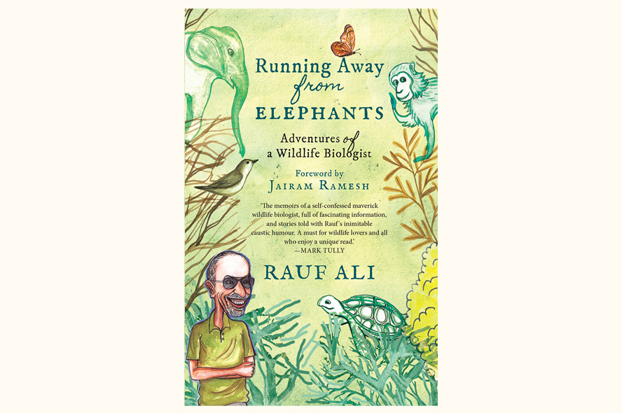 Book Excerpt Running Away From Elephants RoundGlass Sustain