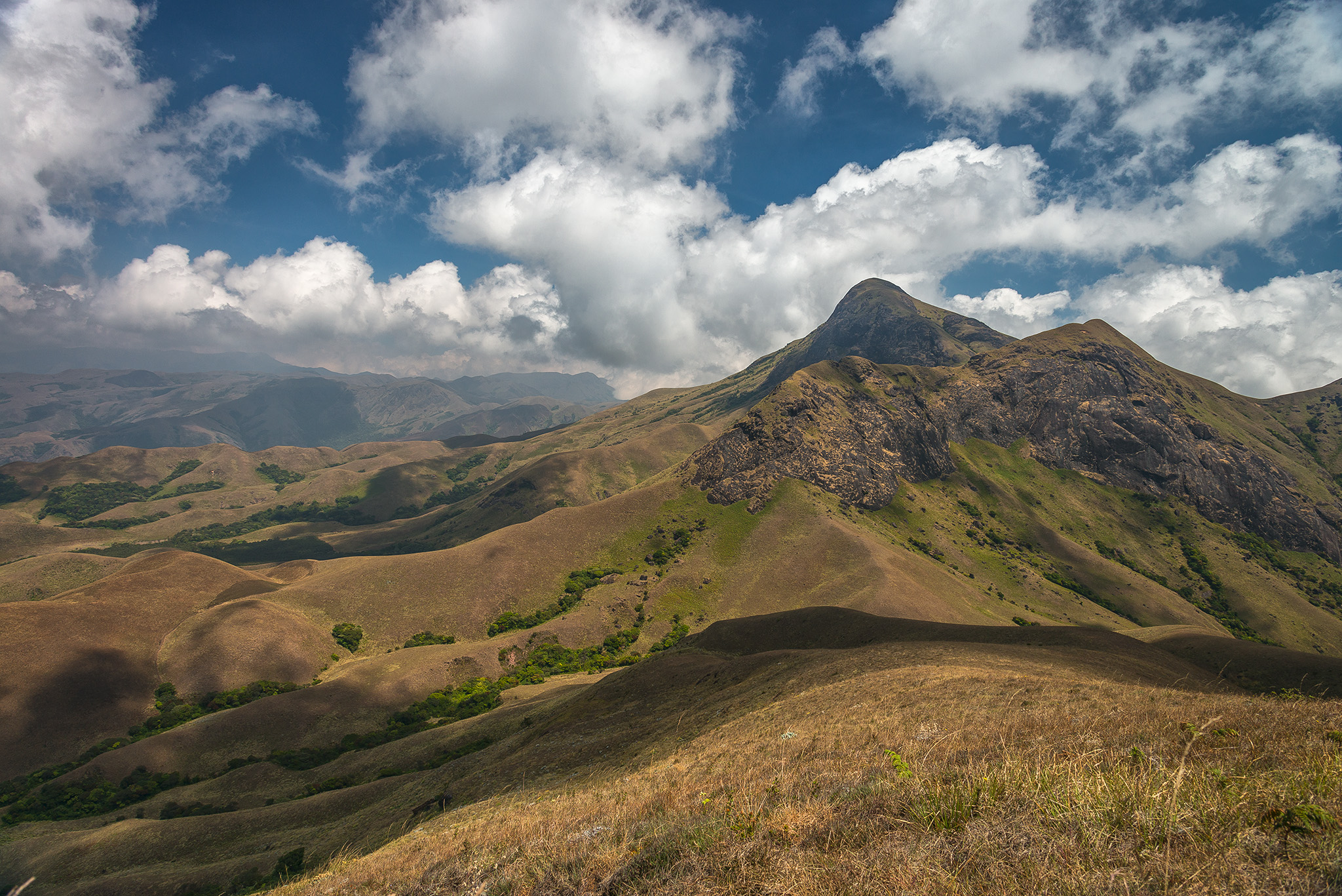 Kerala’s Anamudi Peak (2,695 m) is among the tallest peaks in southern India, and hosts a wealth of mammalian diversity, including elephants, gaur, and Nilgiri tahr. Photo: DMdmadhu CC BY-SA 4.0  The Nilgiri tahr (Nilgiritragus hylocrius) found in Kerala and Tamil Nadu, is a close relative of the Himalayan tahr, It is “more or less confined to altitudes of 1,200 to 2,600 meters,” according to the IUCN. This image was taken in Valparai, inside the Anamalai Tiger reserve near Coimbatore. 
Cover Photo: Akshay Manwani

