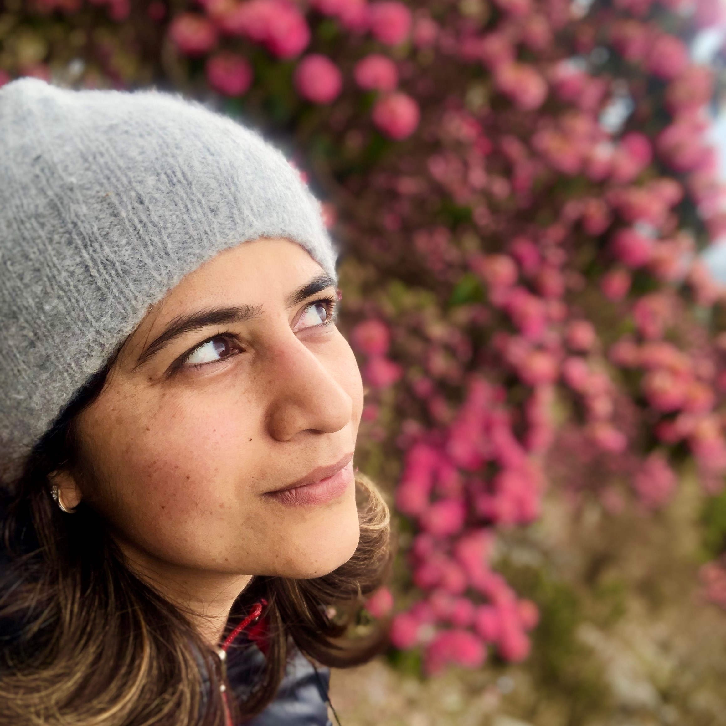 Shikha Tripathi