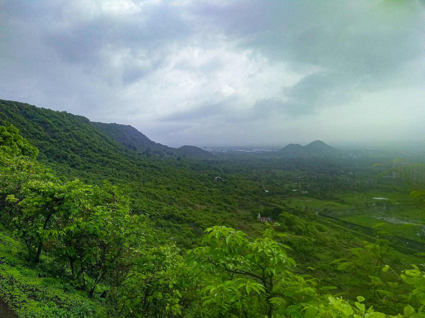 Kharghar Hills are Alive with the Sound of Birdsong RoundGlass Sustain