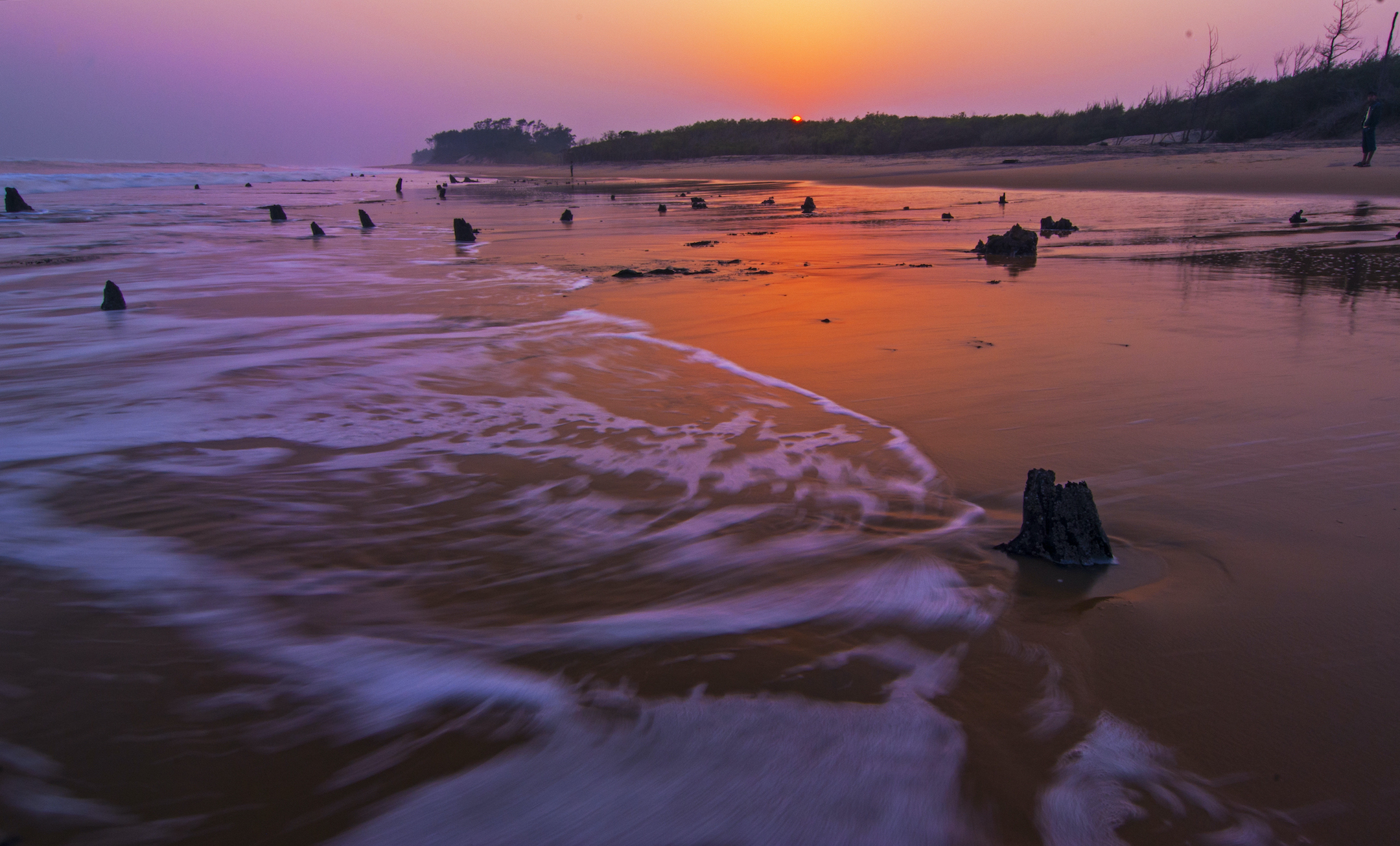 Bhitarkanika was a common hunting ground of the king of Kanika. It was declared a protected area in 1961. This mangrove forest is a hidden gem with an extraordinary ecosystem. 
