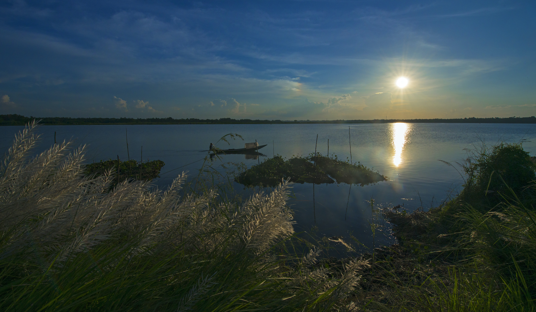 Kans grass — a wild, perennial species of grass native to India — grows in clusters along the bank of the lake. Photo: Dhritiman Mukherjee  Cover: A glossy ibis wades through the waters of the lake near Purbasthalivillage, West Bengal. Members of the ibis species are distinguished by their long, downward-curving beak, which they use to muddle the shallow waterbed for crustaceans and aquatic bugs. Cover photo: Bandhan Srimani