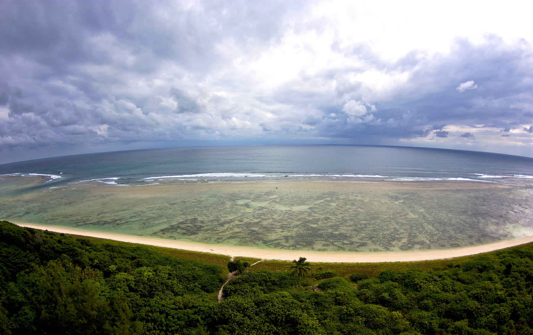 West Bay beach in Little Andaman Island is the most significant nesting site for leatherback turtles in the Andaman Islands. Photo: Adhith Swaminathan  Cover photo: A monitor lizard (Varanus salvator) in nearshore waters of the Andamans. Cover photo: Umeed Mistry
