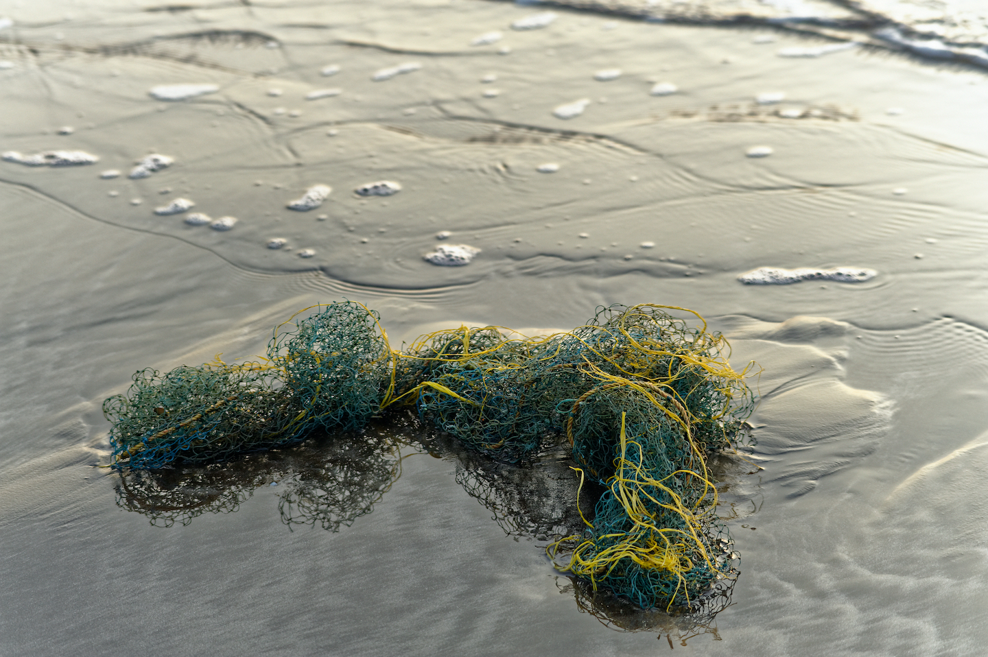 Discarded fishing nets