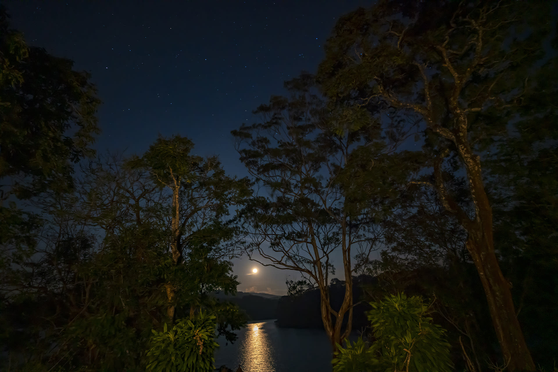 “Jungle Scout”, a night trekking programme offered by the reserve as part of its ecotourism initiatives allows tourists to appreciate the splendours of the reserve after dark. Accompanied by armed guards, visitors can explore a serene stretch of the reserve from 7 pm to 4 am.   