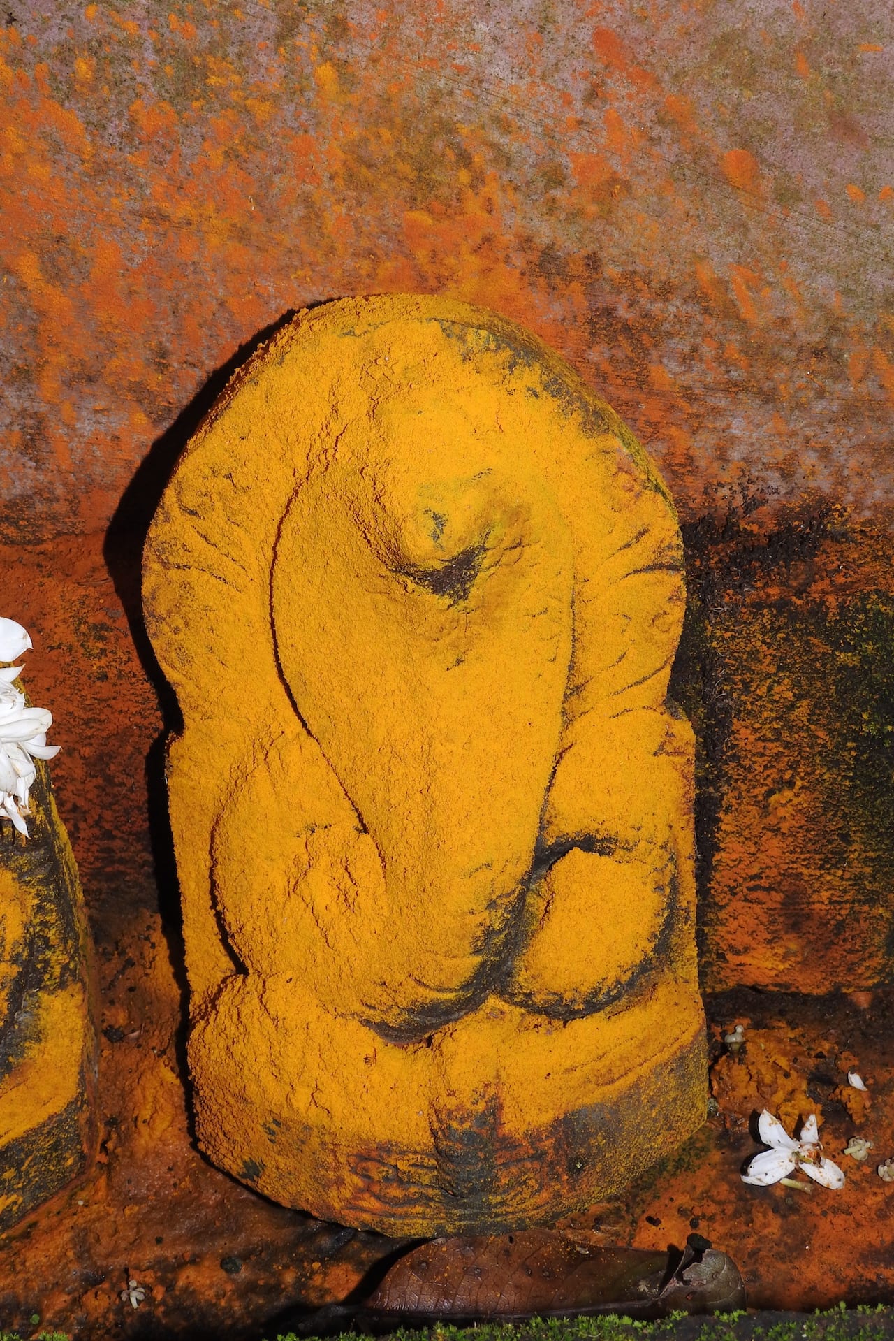 The cobra is revered in Hindu mythology and shrines dedicated to the snake are found across India.