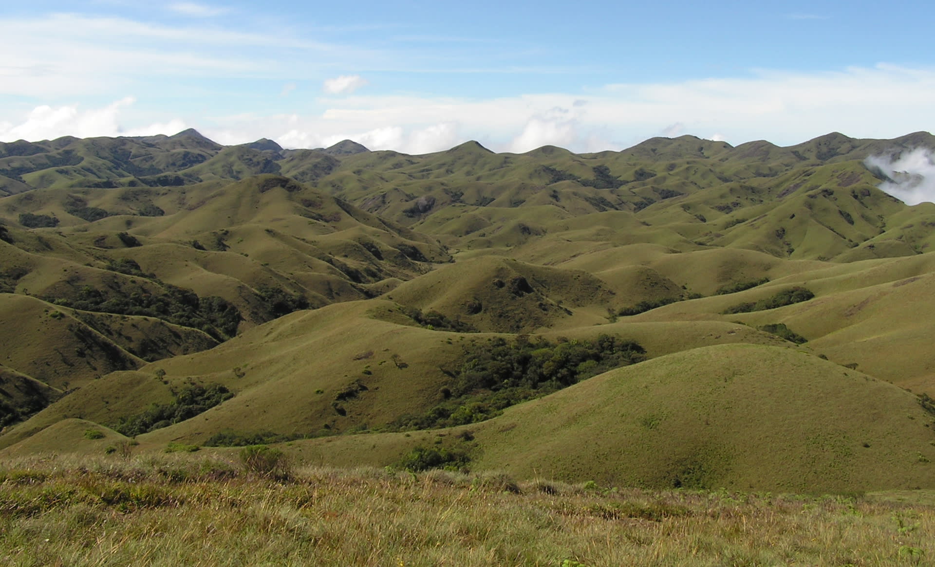 Nilgiri and Palni-Anaimalais plateaus