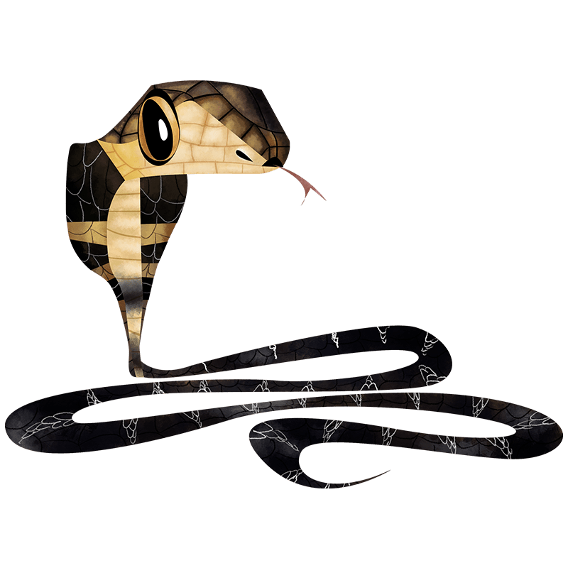 Cobra Snake Facts, Cobra Snake Information