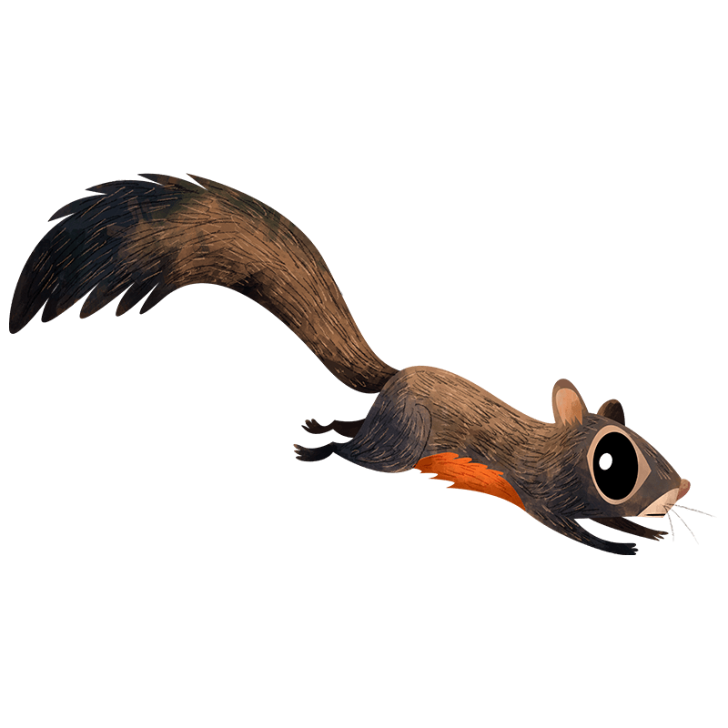 Pallas's squirrel