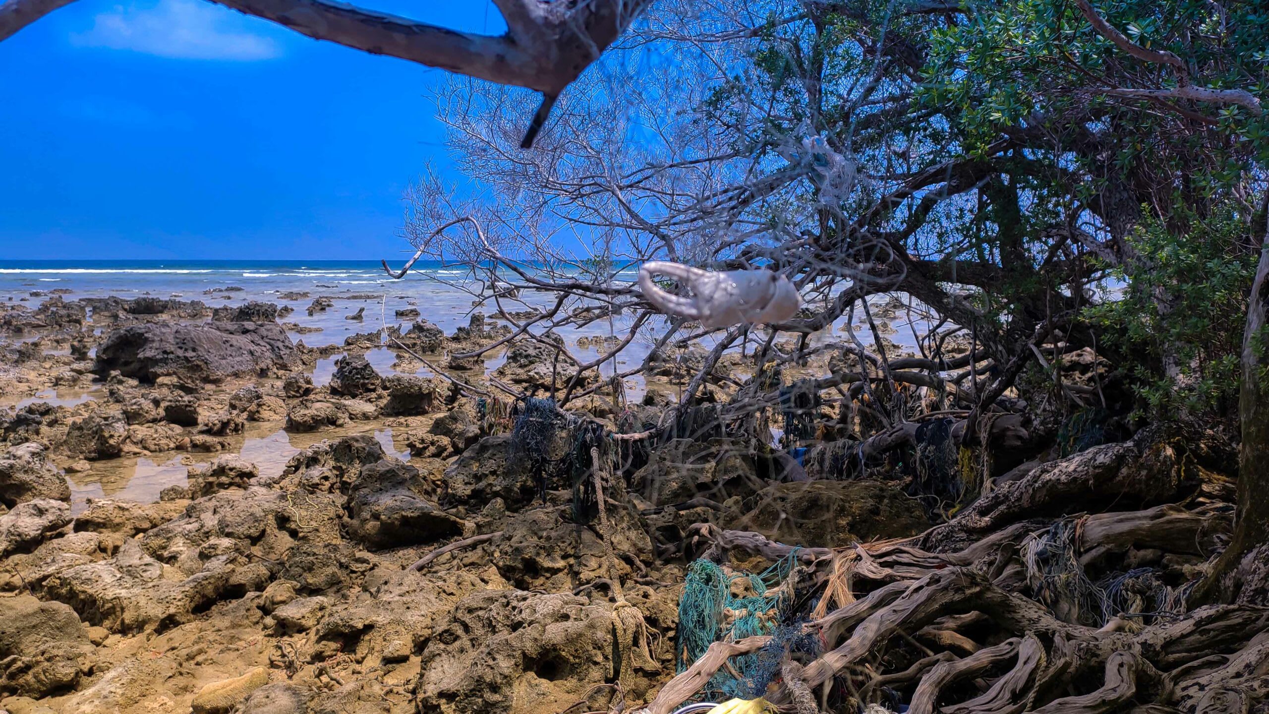 A secluded stretch of the coast on Havelock Island bears signs of human presence with hundreds of fishing nets caught in the mangroves. The fine net hanging in front has the remains of an unfortunate crab.