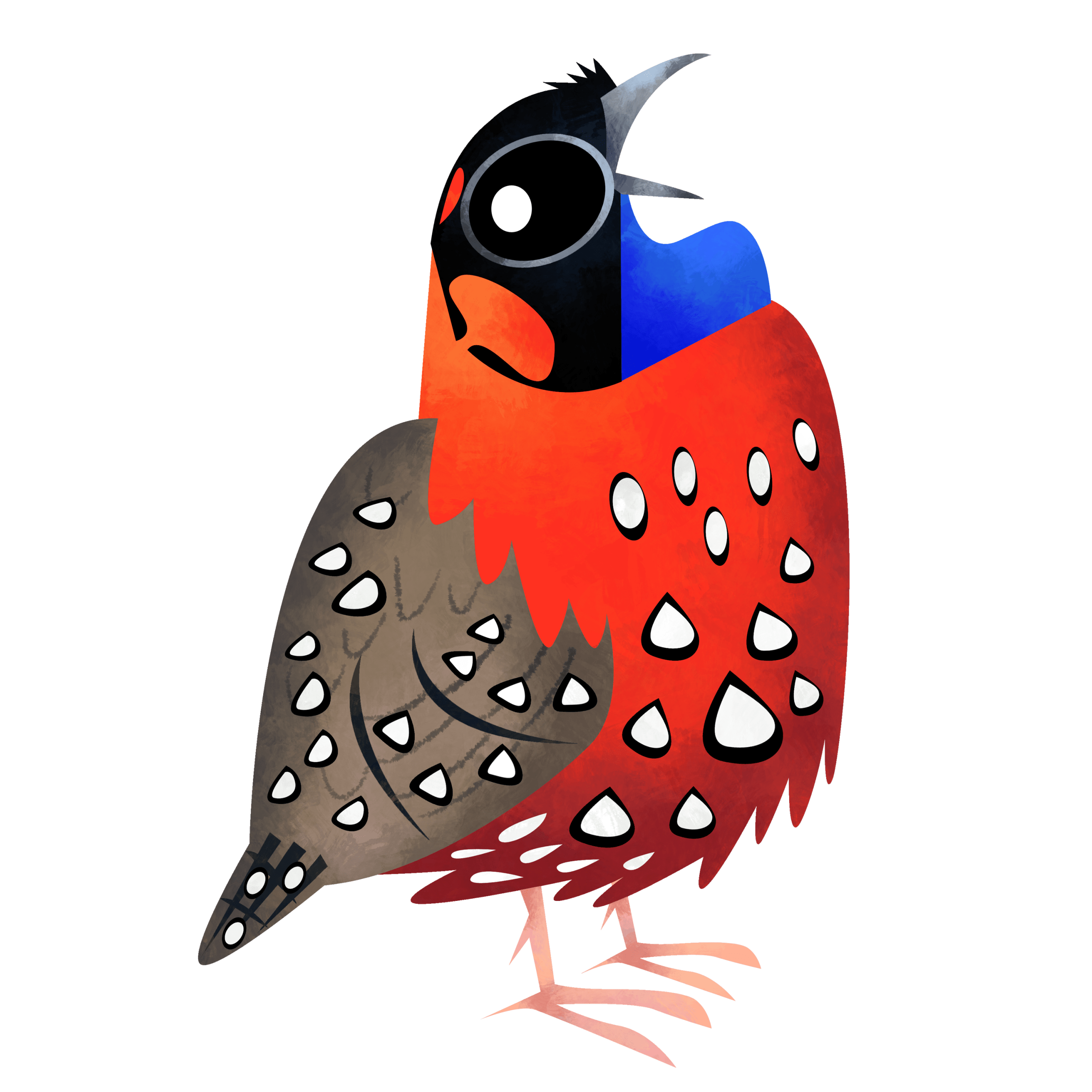 Satyr tragopan