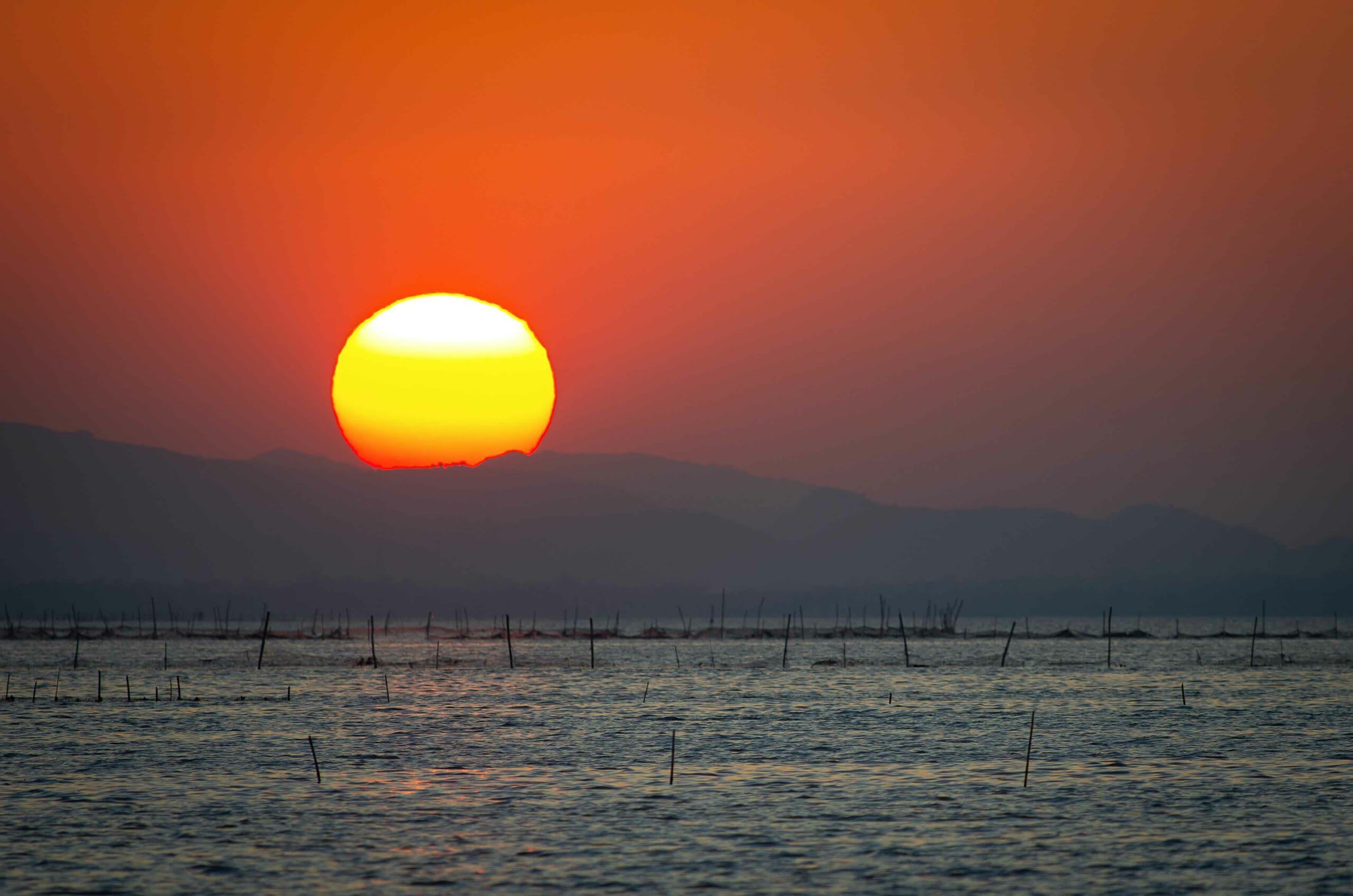 Chilika, the world’s second-largest brackish water lagoon and Asia’s largest, is the single largest habitat of Irrawaddy dolphins in the world. Besides this area, the Irrawaddy dolphin is patchily distributed throughout freshwater and coastal areas in South and Southeast Asia, and in three rivers -  the Irrawaddy, Mahakam, and Mekong. Photo: Aditya Panda  Cover photo: The Irrawaddy dolphin has an instantly recognisable, charismatic rounded face and head with no “beak”. The species gets its common name from the Irrawaddy River in Myanmar. Cover photo: Dhritiman Mukherjee 
