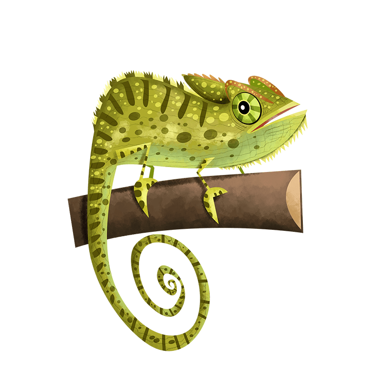 Indian chameleon
