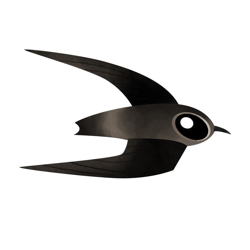 Edible-nest swiftlet