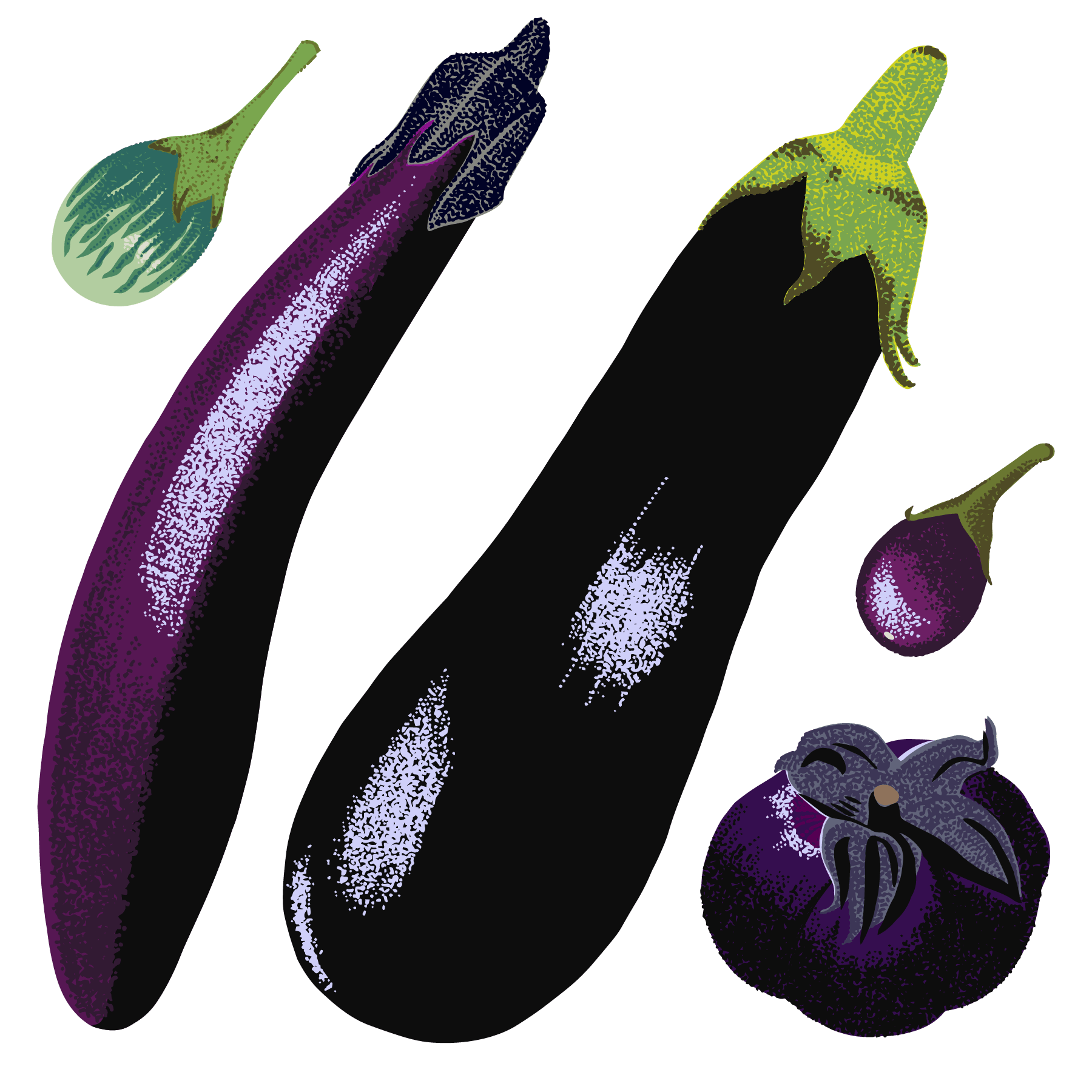 eggplant vegetable vector hand drawn illustration Hand drawn sketch  10664223 Vector Art at Vecteezy