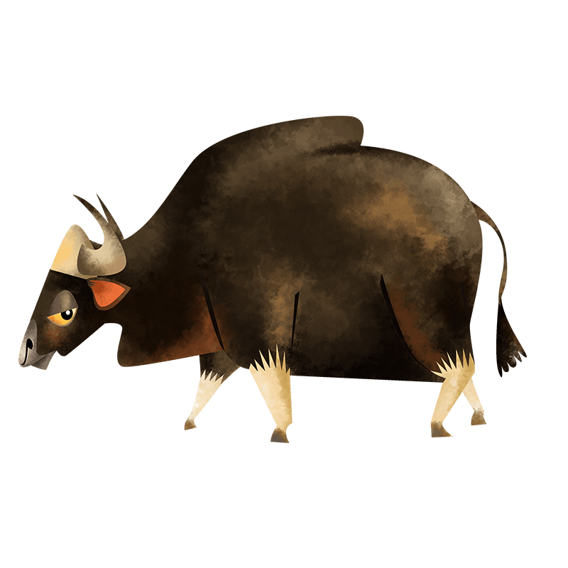 Gaur