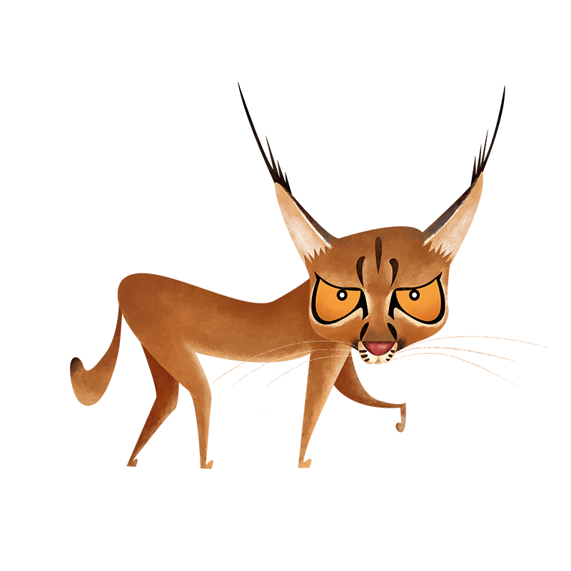 Caracal