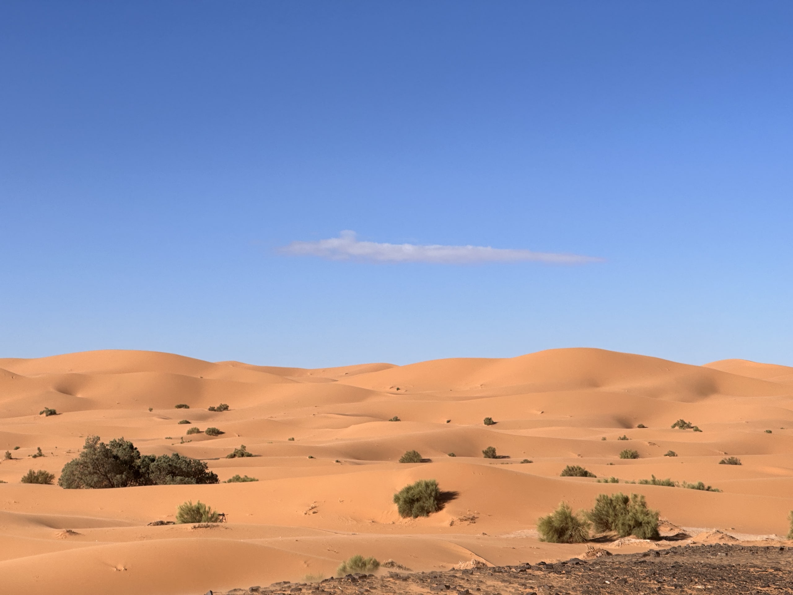 sahara desert background